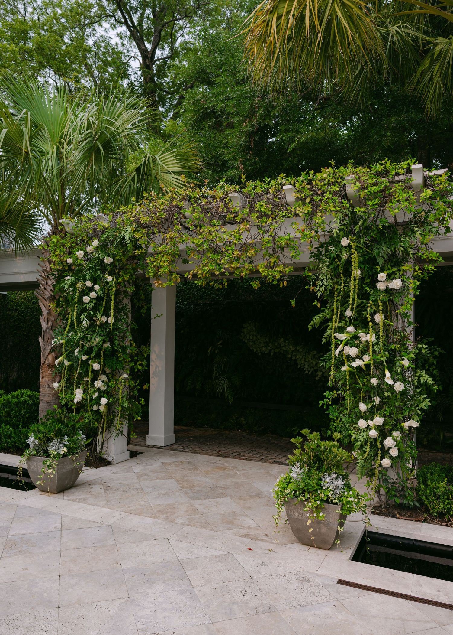Lush garden wedding venue with palm trees and white columns creating an intimate outdoor space.