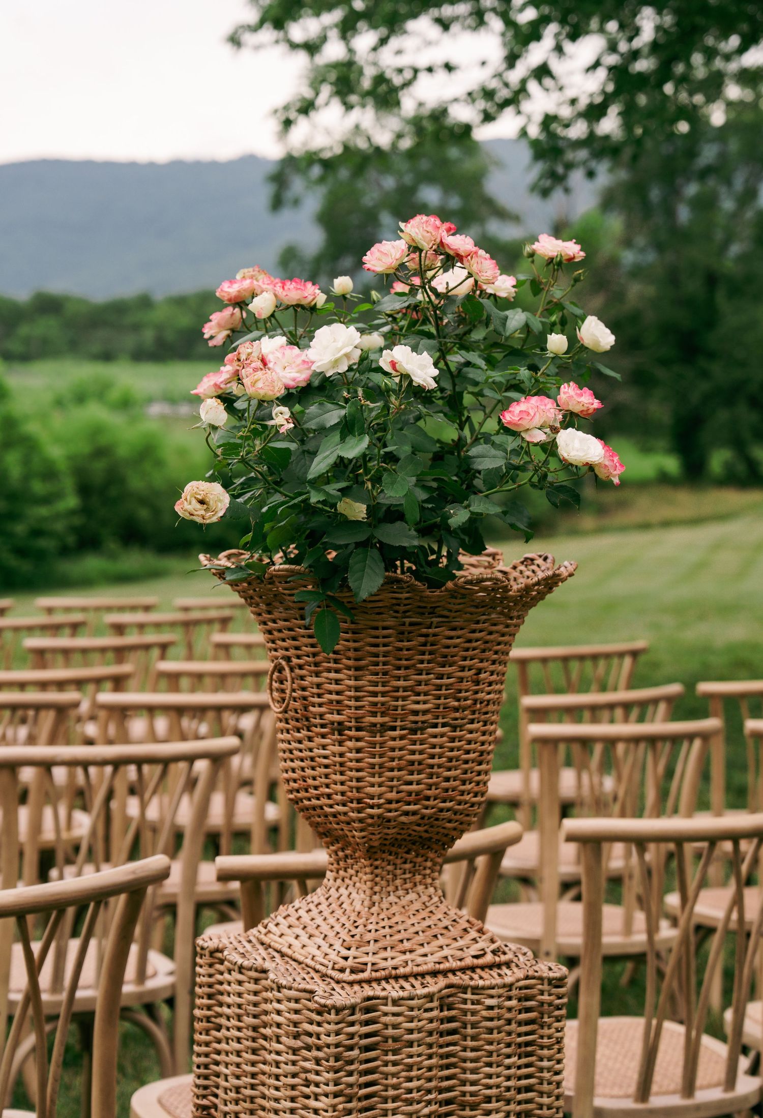 Pink and white roses in wicker urn vase at outdoor wedding ceremony seating.