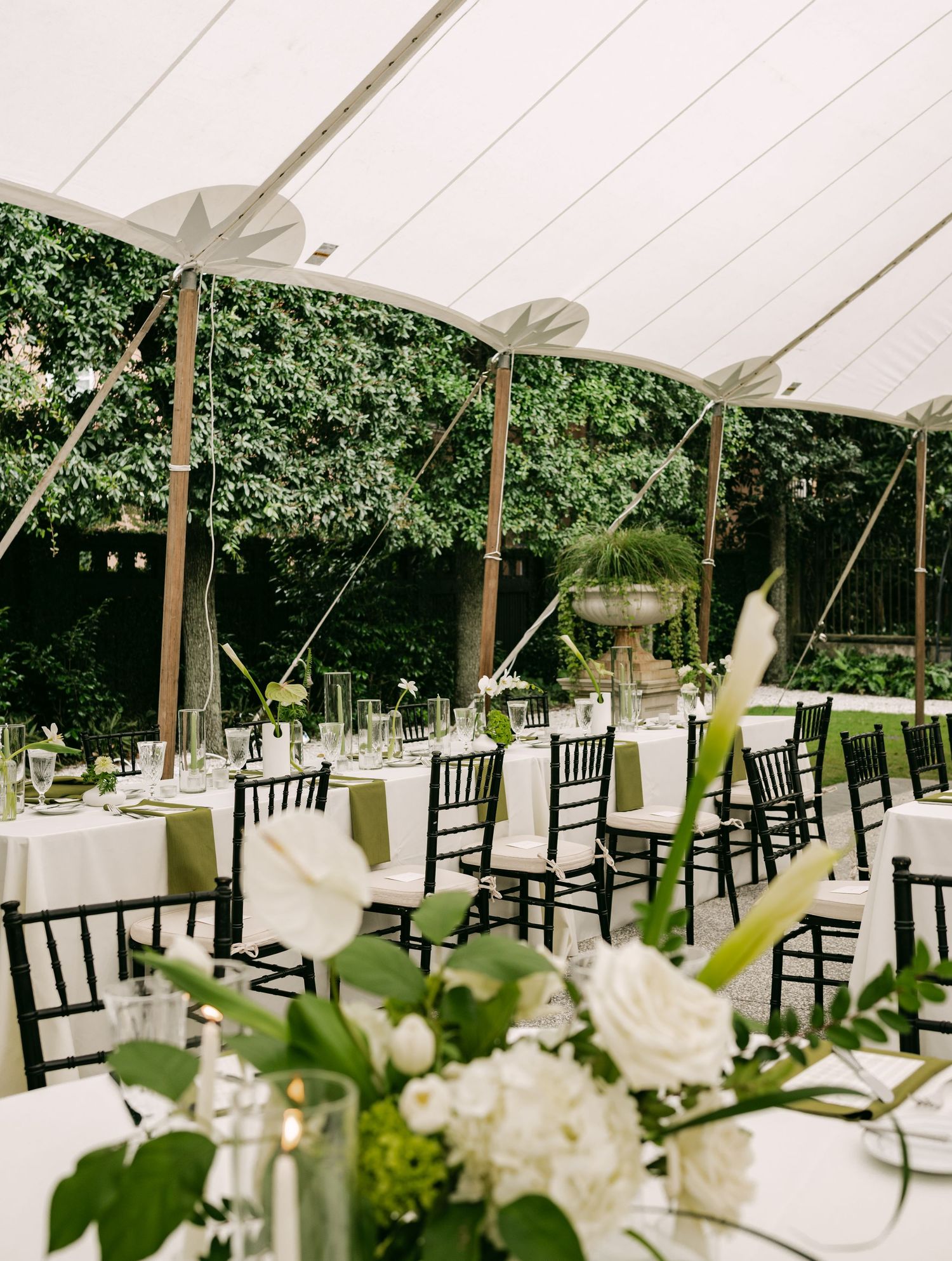 Elegant outdoor wedding reception under a white tent with black chiavari chairs, white tablecloths, and lush green ivy backdrop.