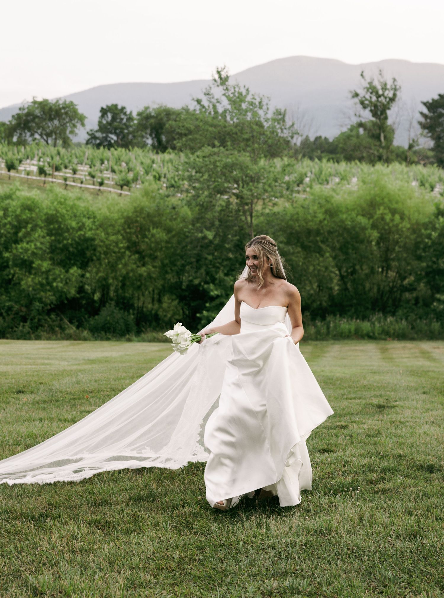 Bride in strapless white gown with long train walks through vineyard with mountain backdrop.