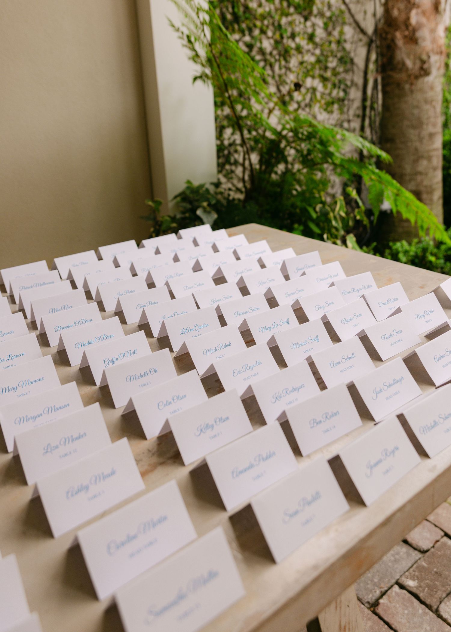 Rows of white place cards arranged on display table for wedding seating assignments.