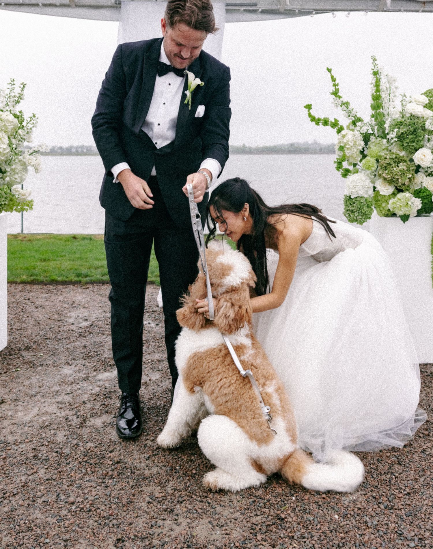 Bride and groom in formal attire petting fluffy golden dog at outdoor waterfront wedding ceremony.