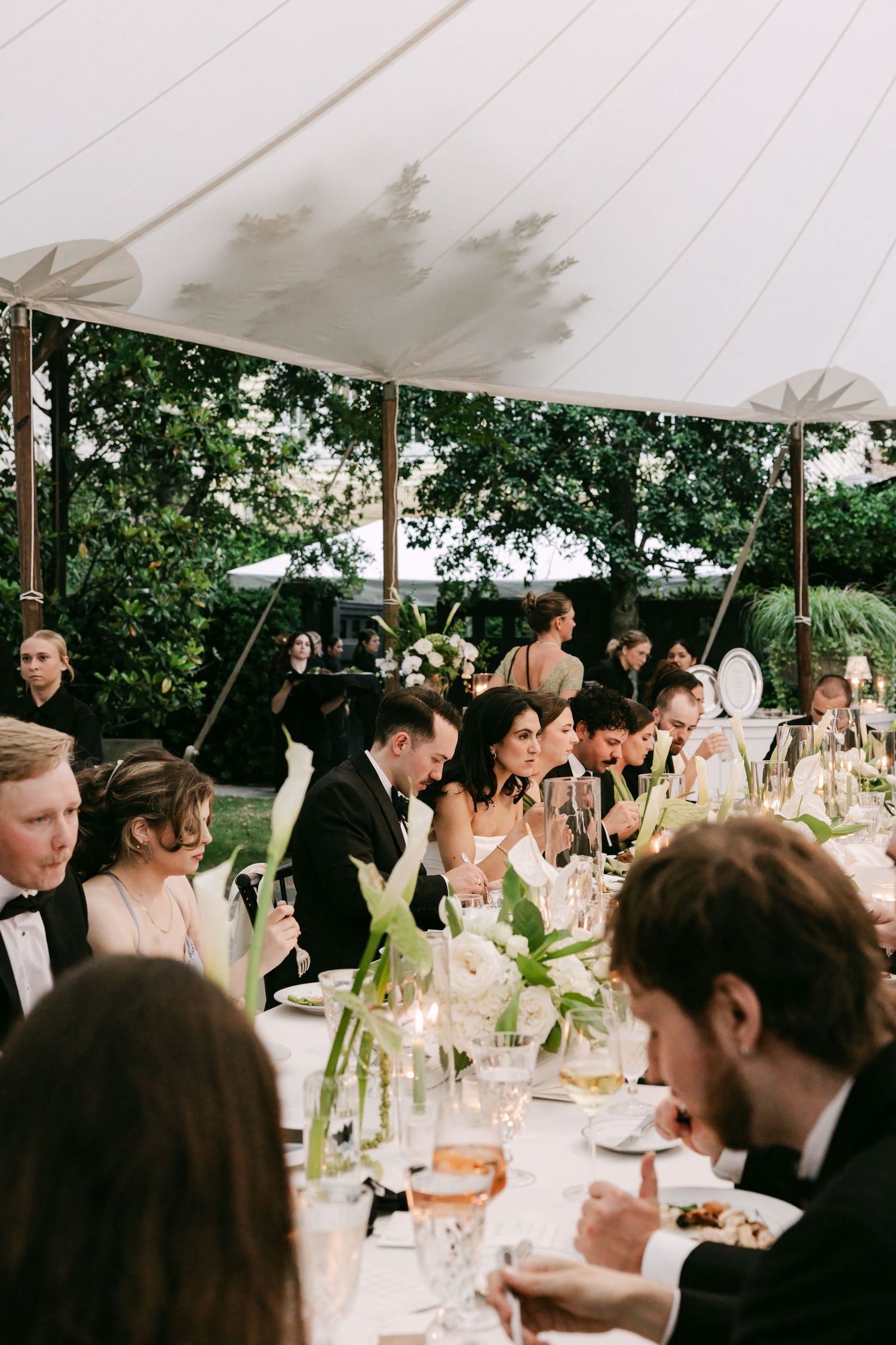 Elegant wedding reception under a white tent with guests seated at long tables adorned with white floral centerpieces.