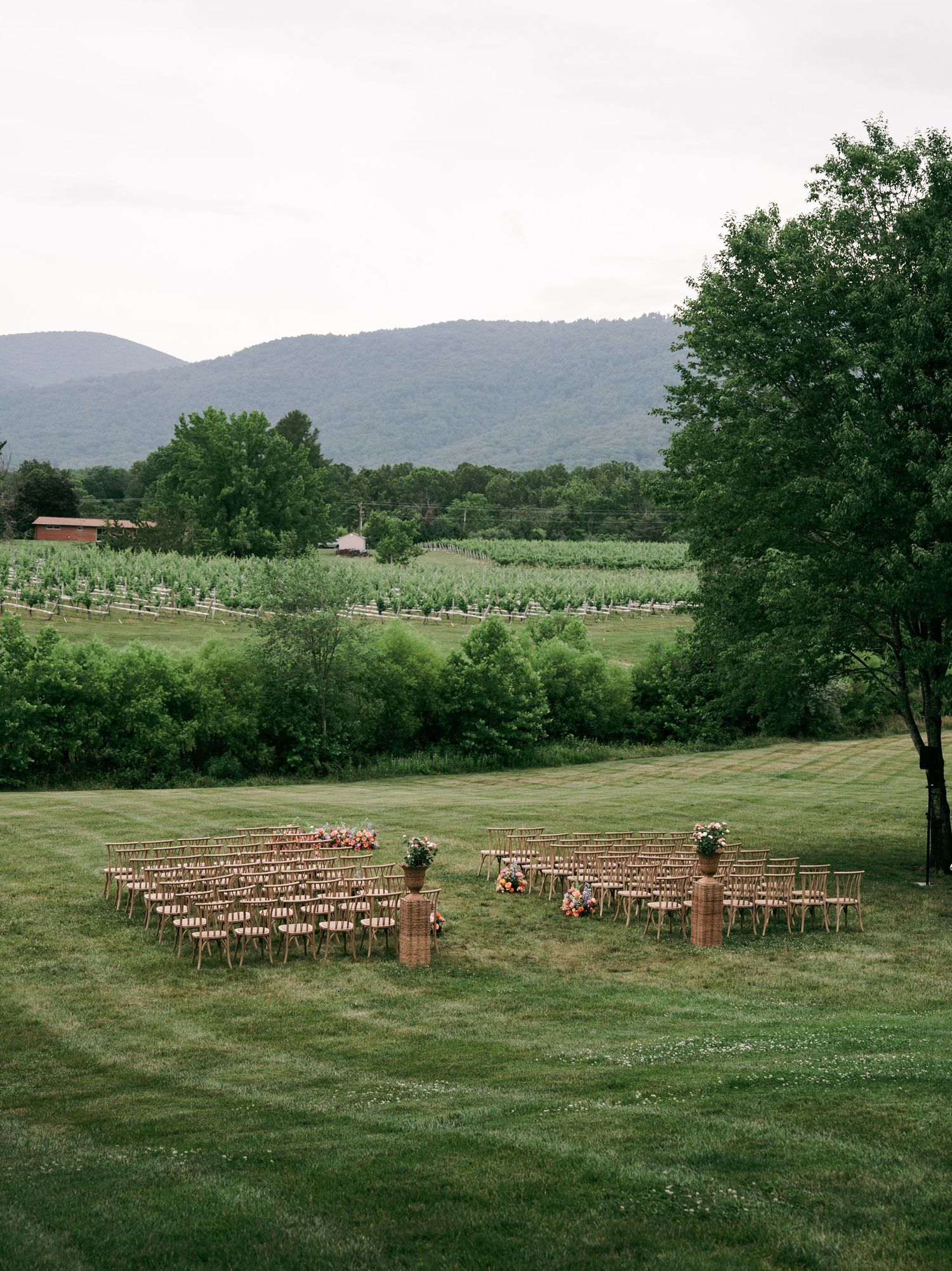 Outdoor wedding ceremony setup with wooden chairs on green lawn overlooking vineyard and mountain landscape.