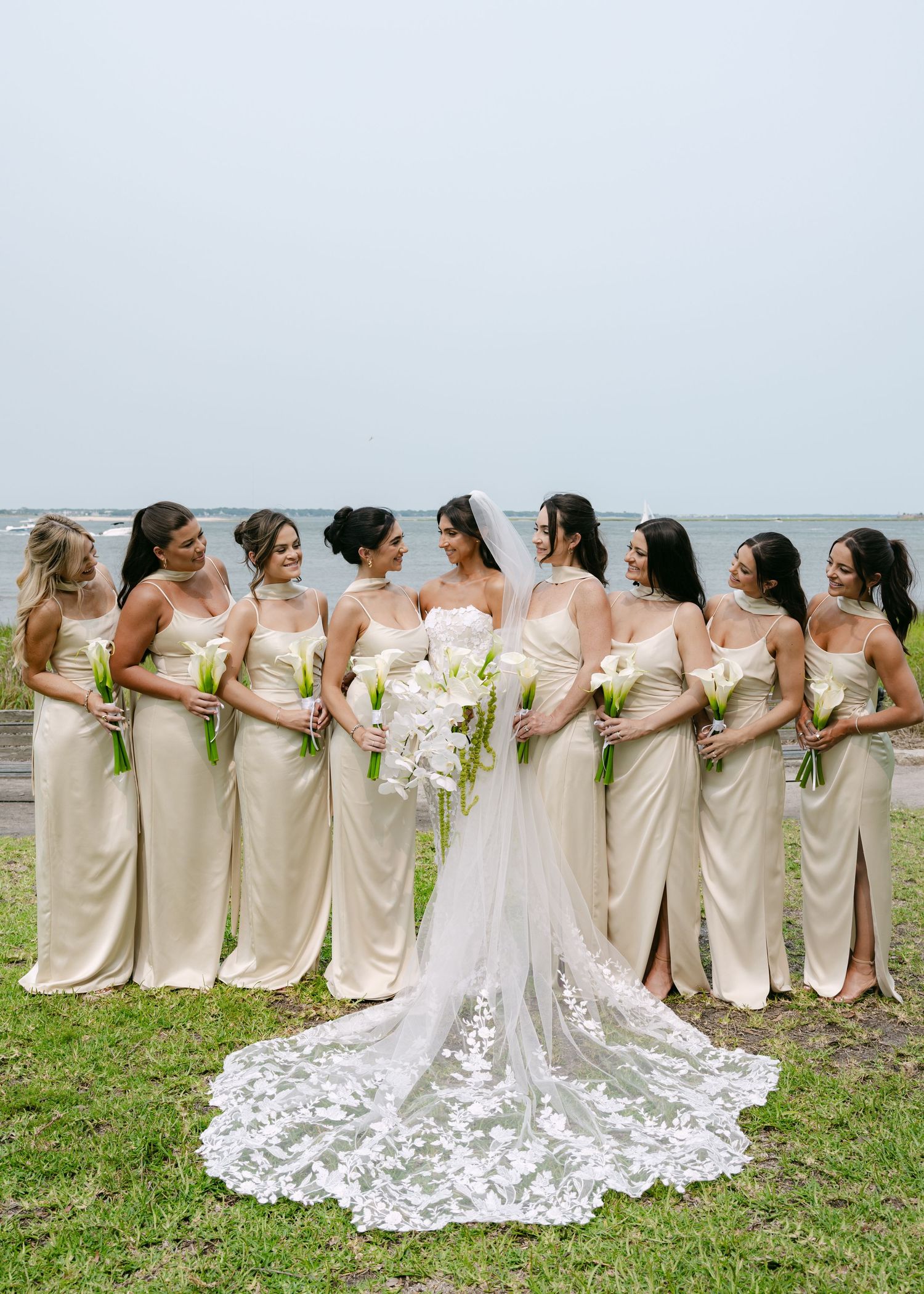 Wedding party lined up on grass with bridesmaids in champagne dresses and bride in lace gown.