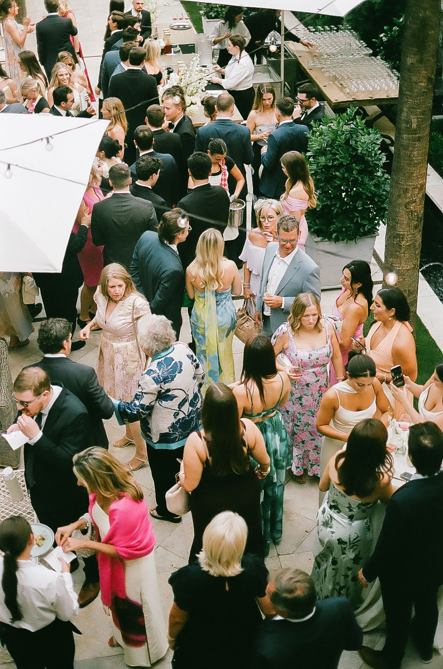 Wedding guests mingling at an outdoor reception under trees.