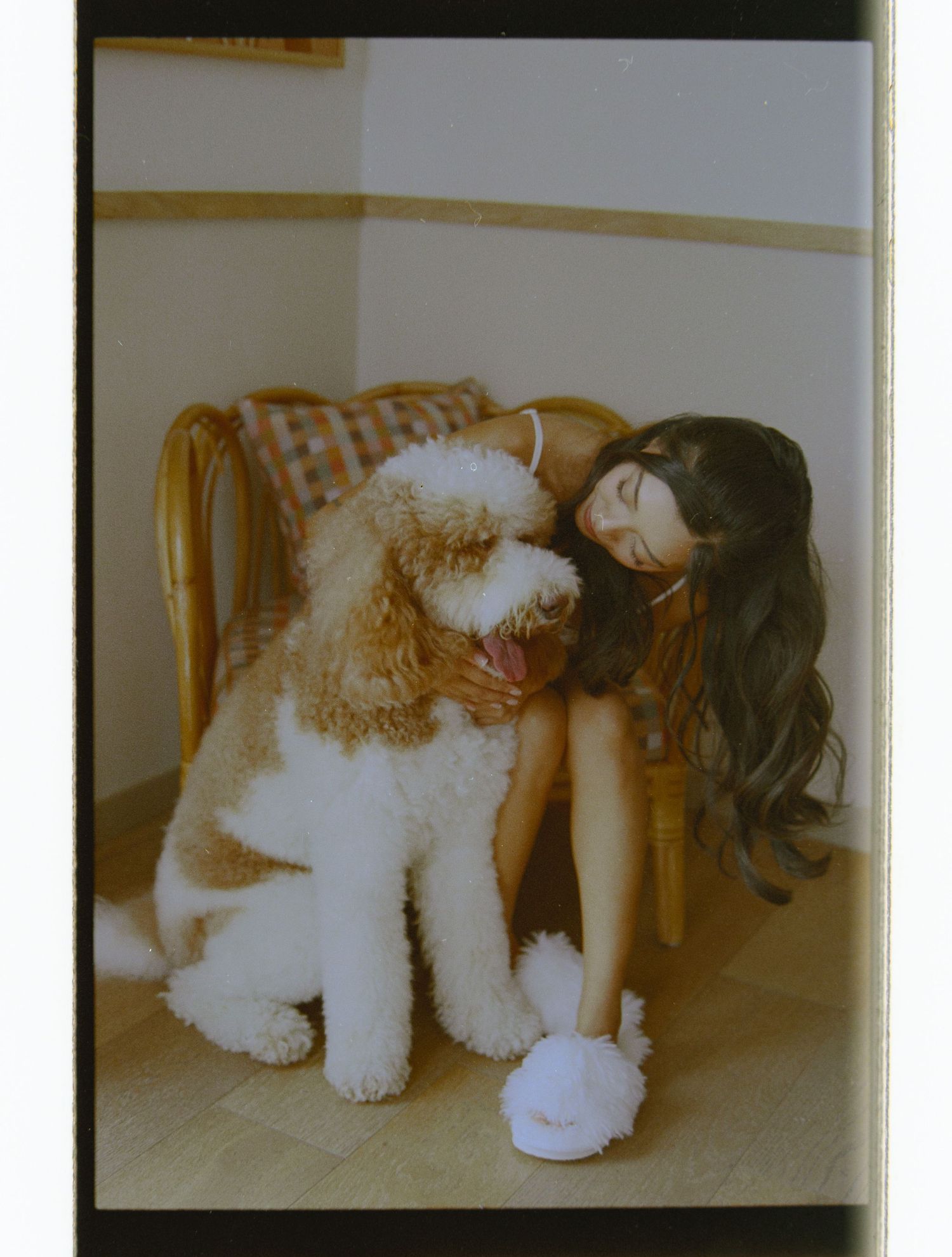 Young woman with long dark hair hugging a fluffy goldendoodle dog while sitting on a chair.