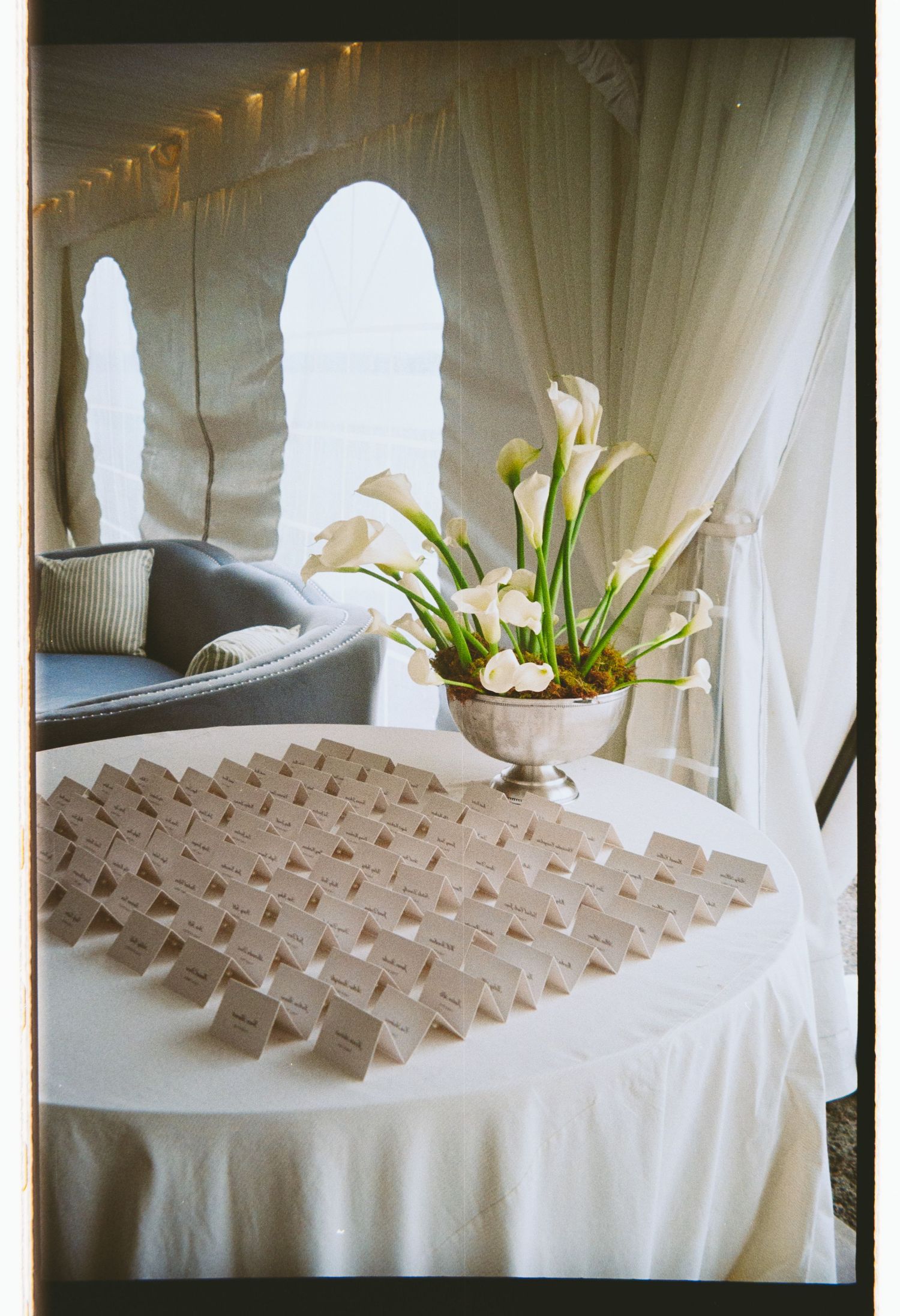 Elegant wedding escort card table with white calla lily centerpiece in silver vase, arranged in tent venue with sheer drapes.