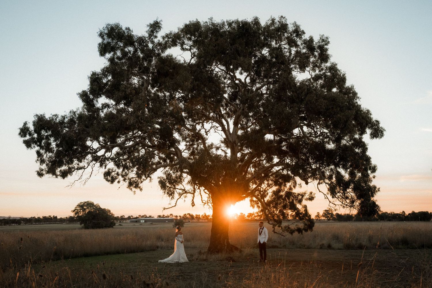 Golden sunlight streams through trees at sunset in a rustic rural field during a romantic wedding photo session.
