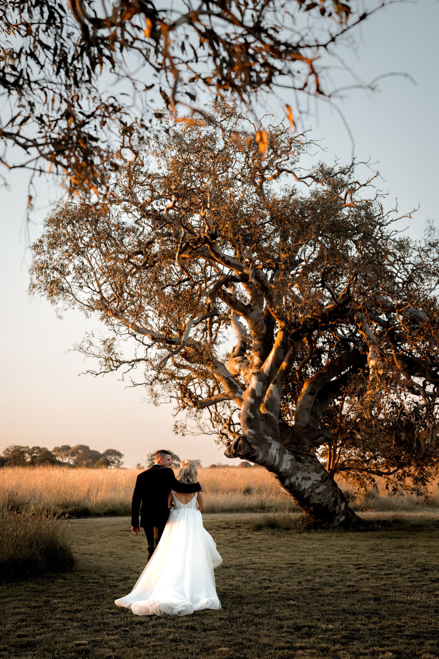 Dramatic silhouette of couple beneath large tree during golden hour.