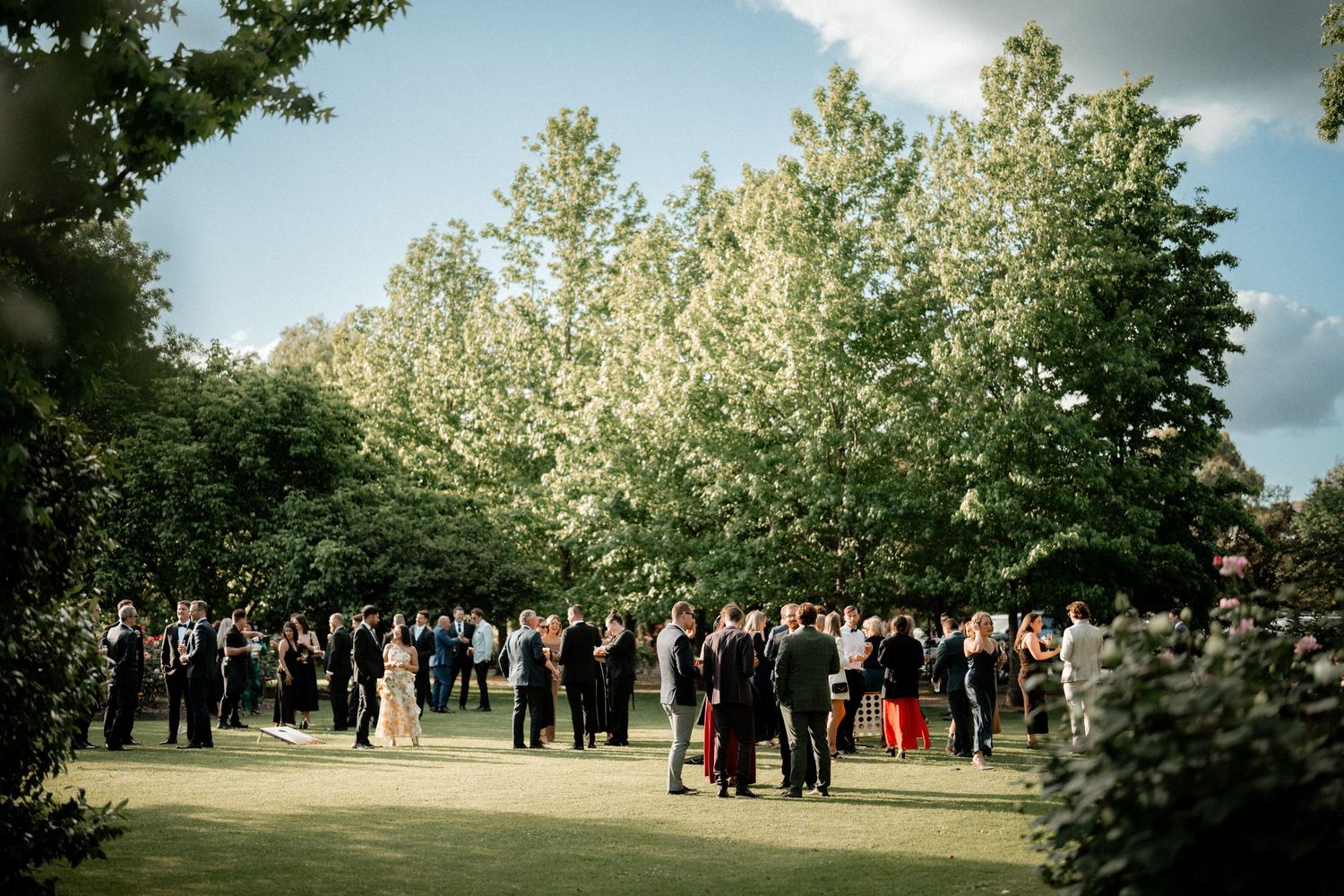 Outdoor wedding reception gathering under blooming trees on a sunny spring day.