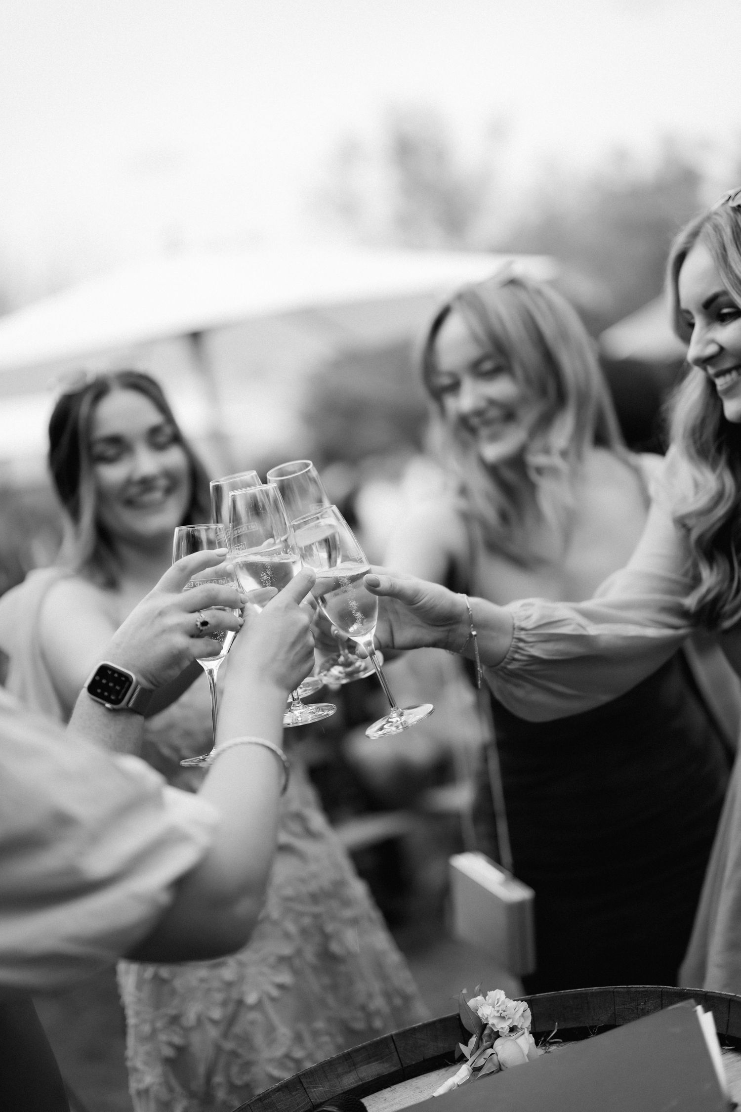 Wedding guests toasting with champagne glasses during celebration.