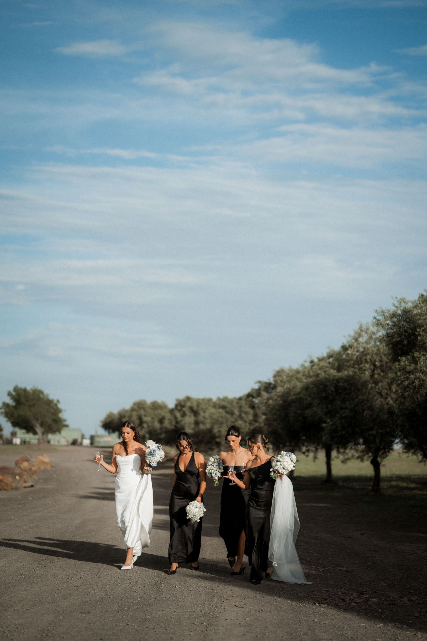 Wedding party gathered on a rural road surrounded by trees under bright blue skies.