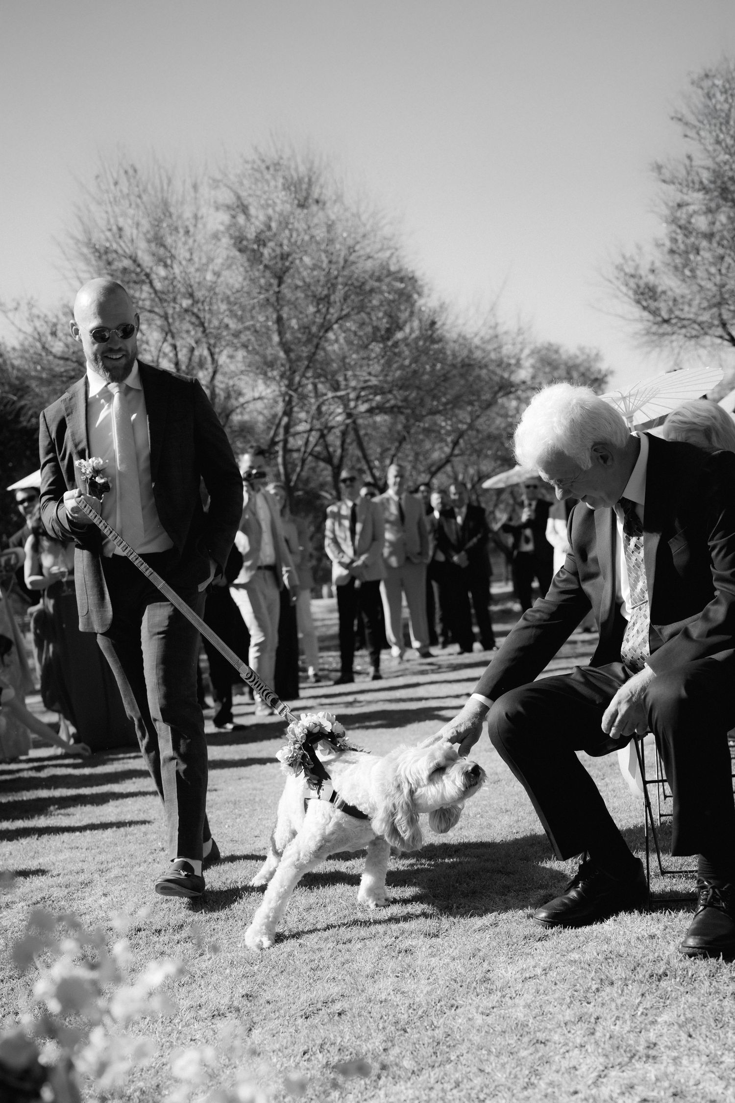 Playful interaction with a dog during outdoor wedding festivities.