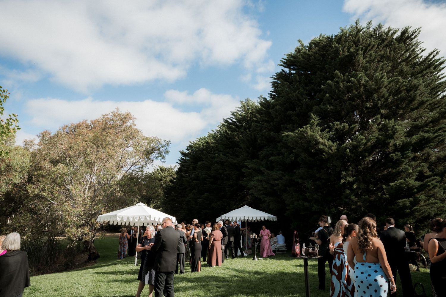 Wedding guests mingle on a sunny lawn with white parasols and tall trees in background.