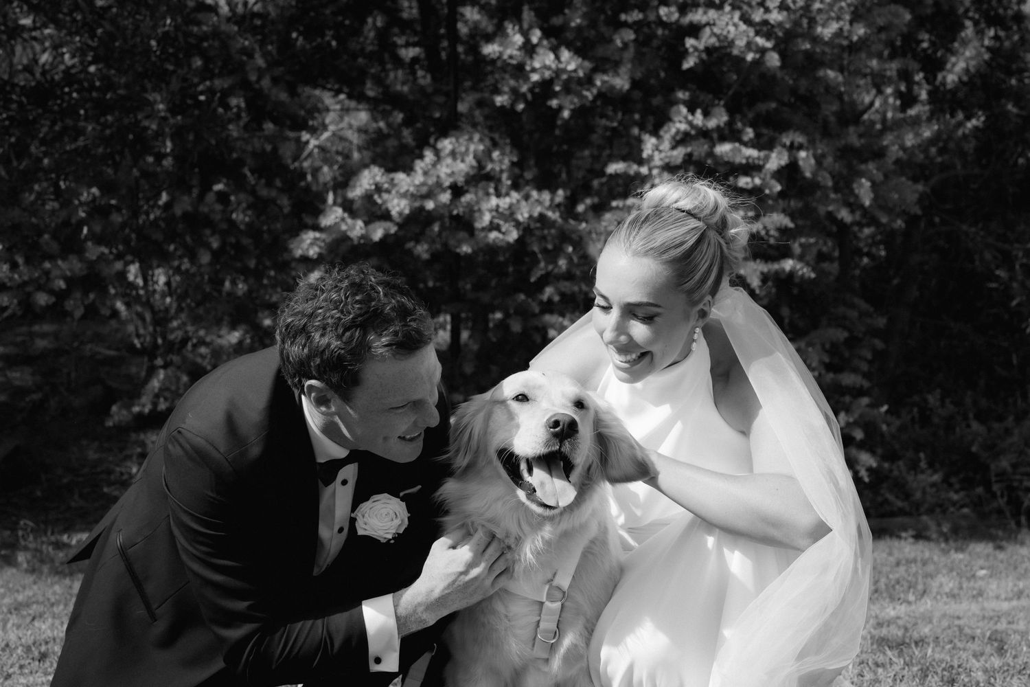 A couple in wedding attire sharing a playful moment with their happy dog outdoors.