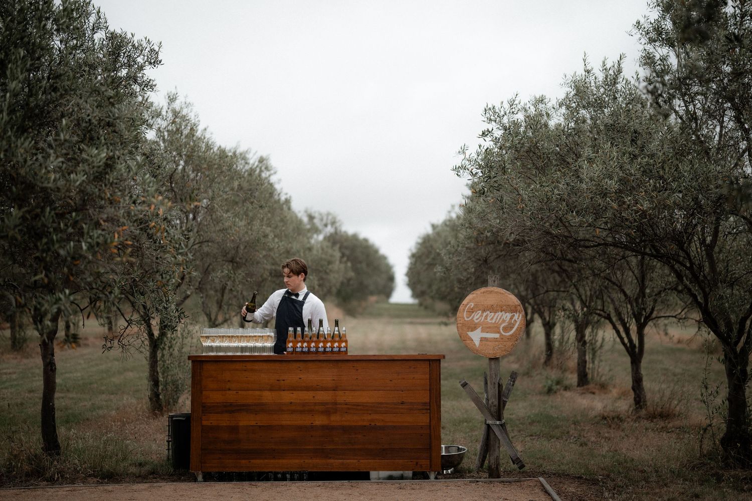 Rustic wooden benches arranged in rows among olive trees for an outdoor ceremony.