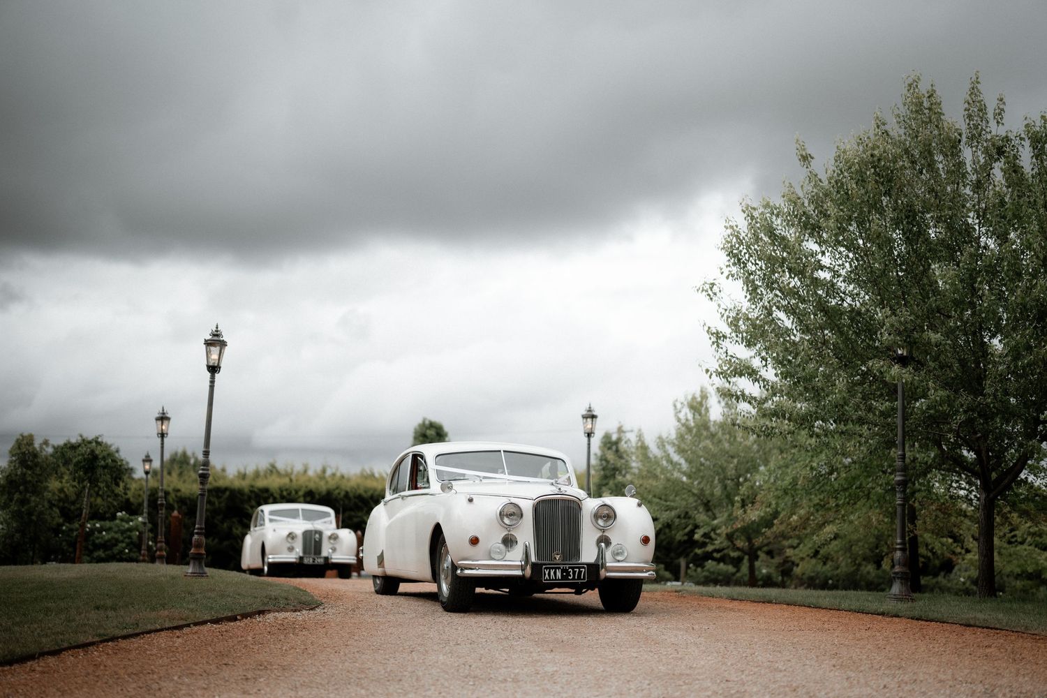 Classic vintage white Rolls Royce wedding cars lined up on a path under dramatic stormy sky.
