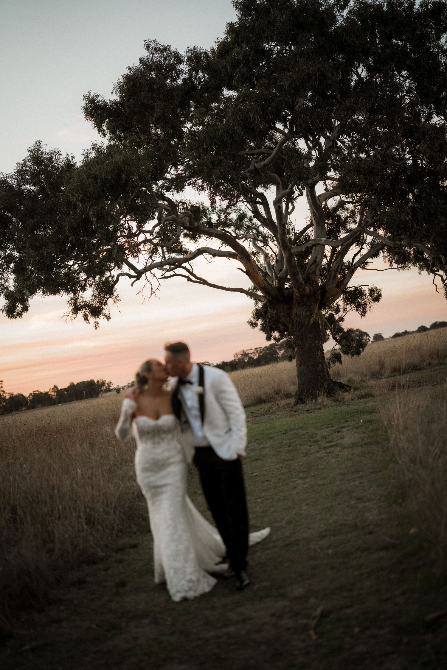Sunset silhouette of a couple dancing in a field beneath a large oak tree.