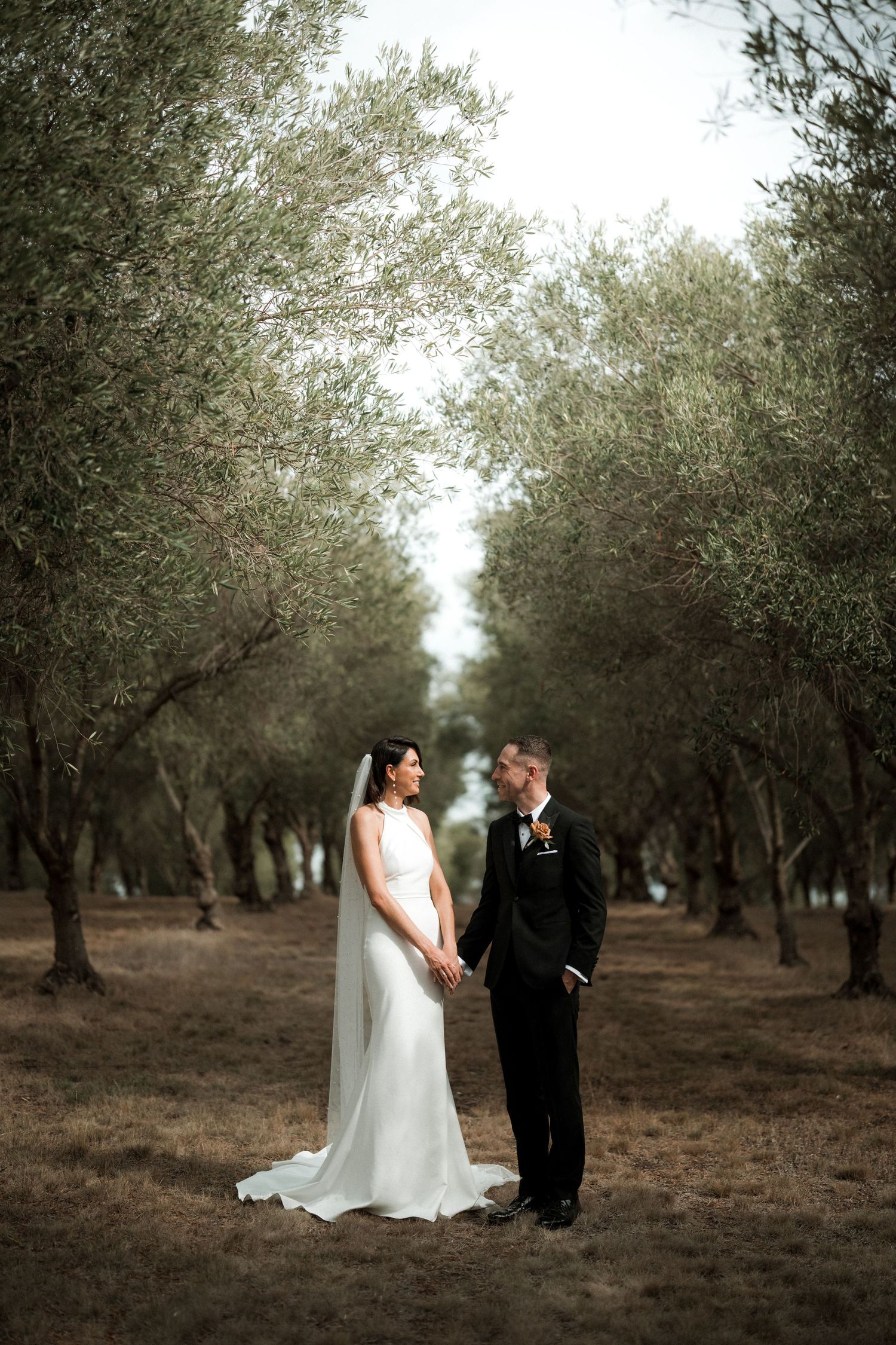 A couple in wedding attire poses in an olive grove for an elegant portrait.