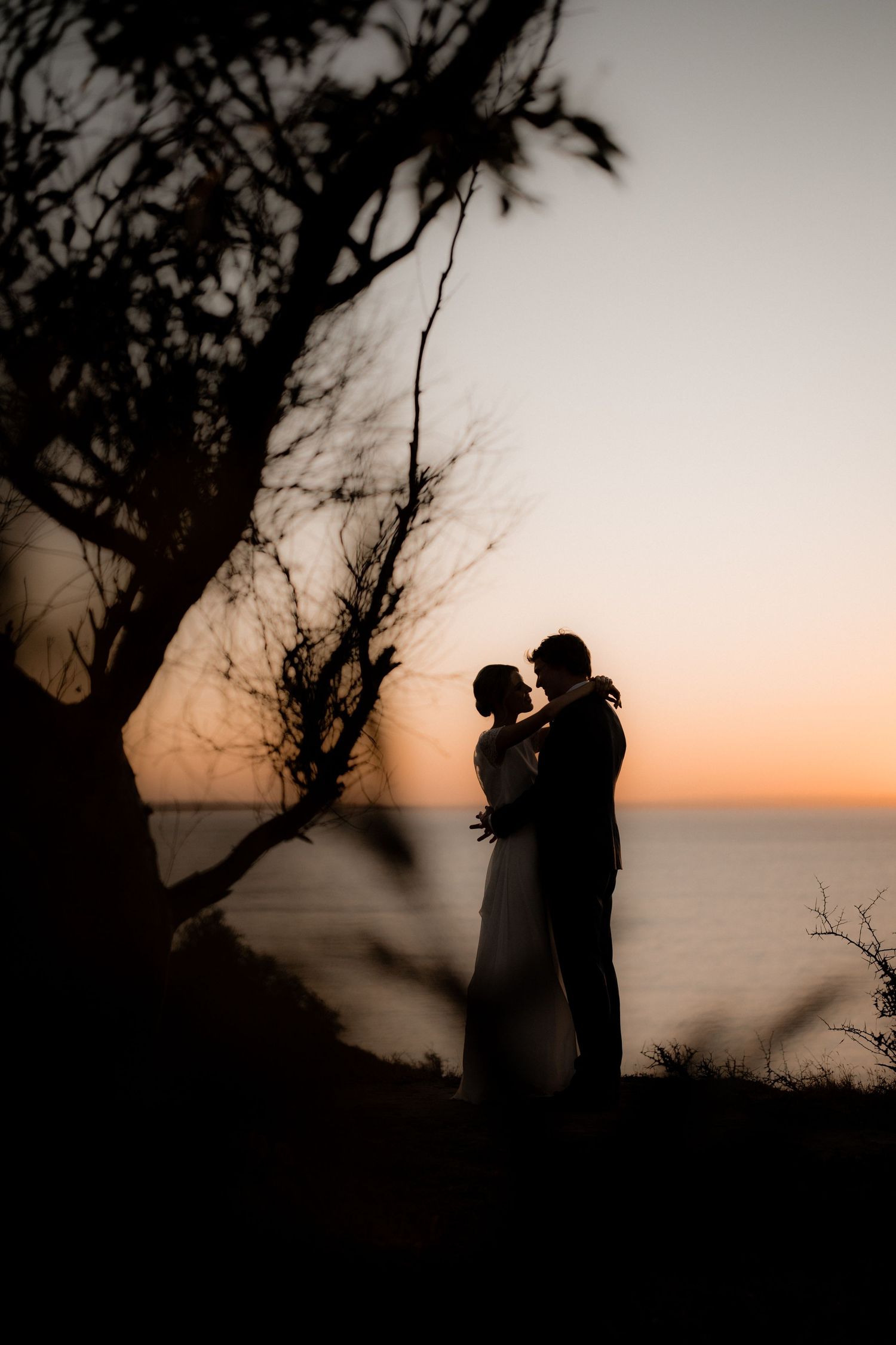 A silhouetted couple embraces against a sunset sky overlooking the ocean with a tree branch framing the scene.