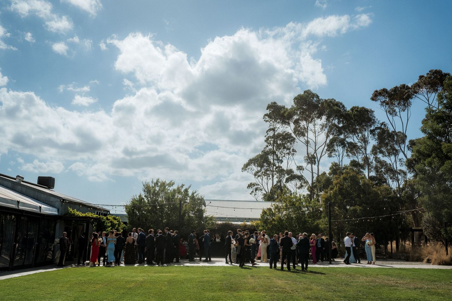 Wedding guests gathered on a sunny lawn with eucalyptus trees in the background.