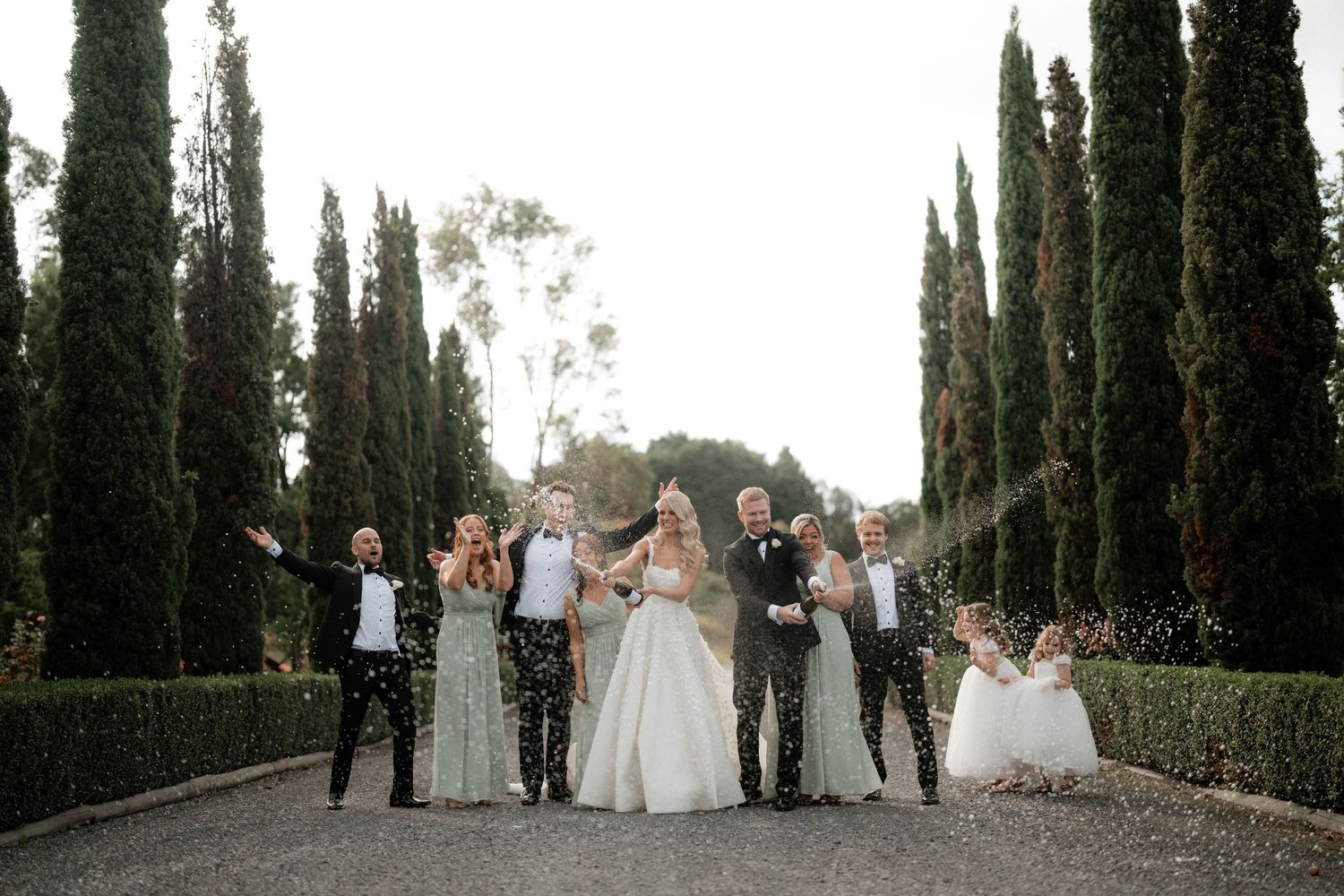 Wedding party poses on a cypress-lined path for a celebratory photo.
