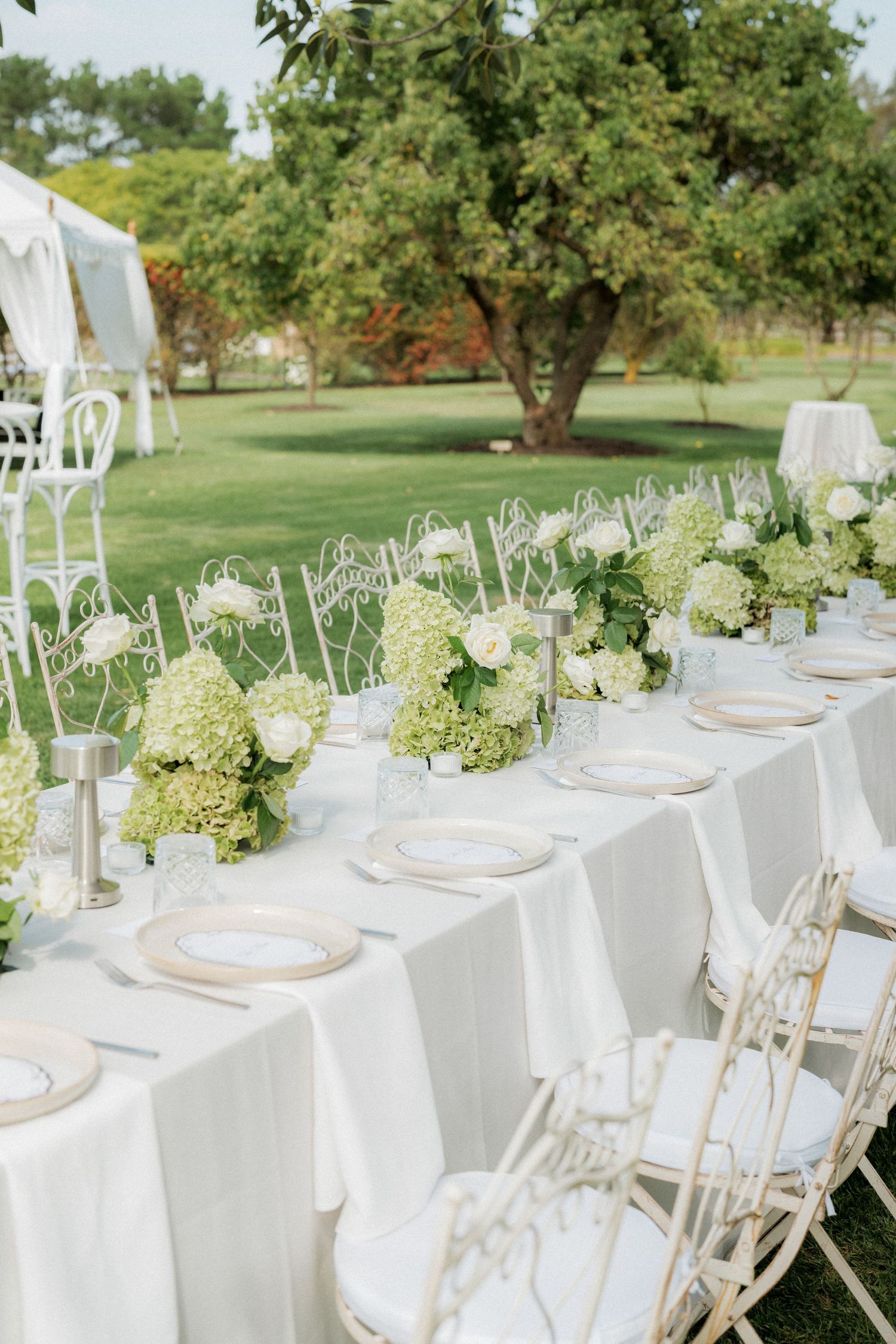 Elegant outdoor wedding reception table with white linens, green hydrangeas, white roses, and ornate white chairs on a lush lawn.