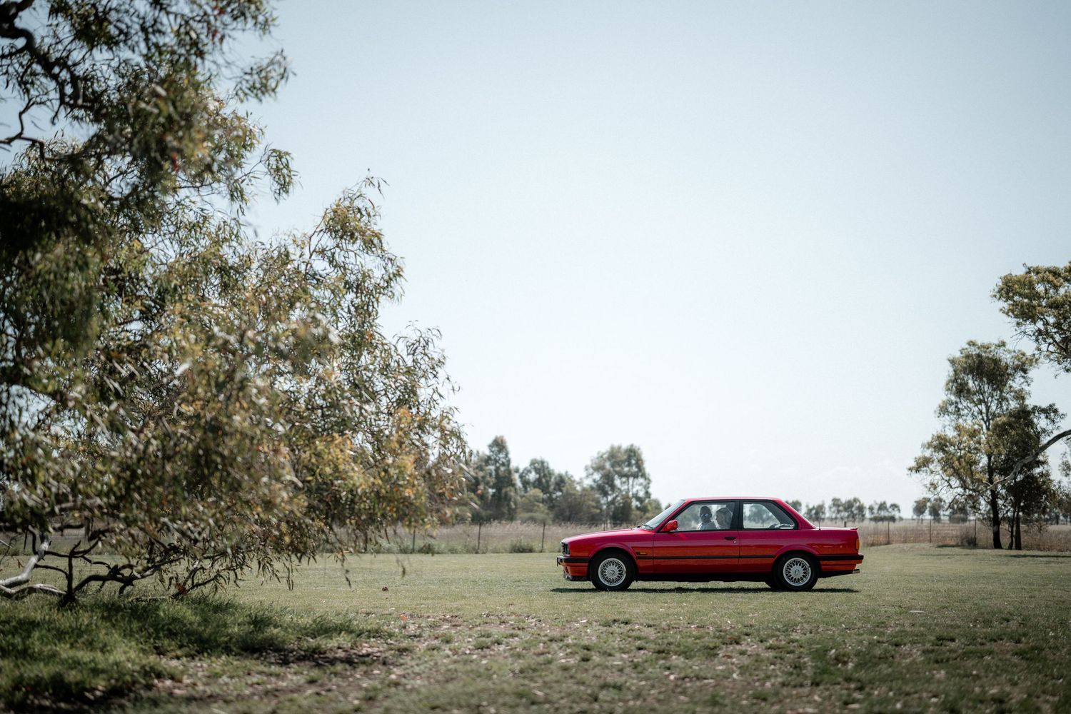 A red vintage car parked in a rural field with eucalyptus trees and dry grass surrounding it.