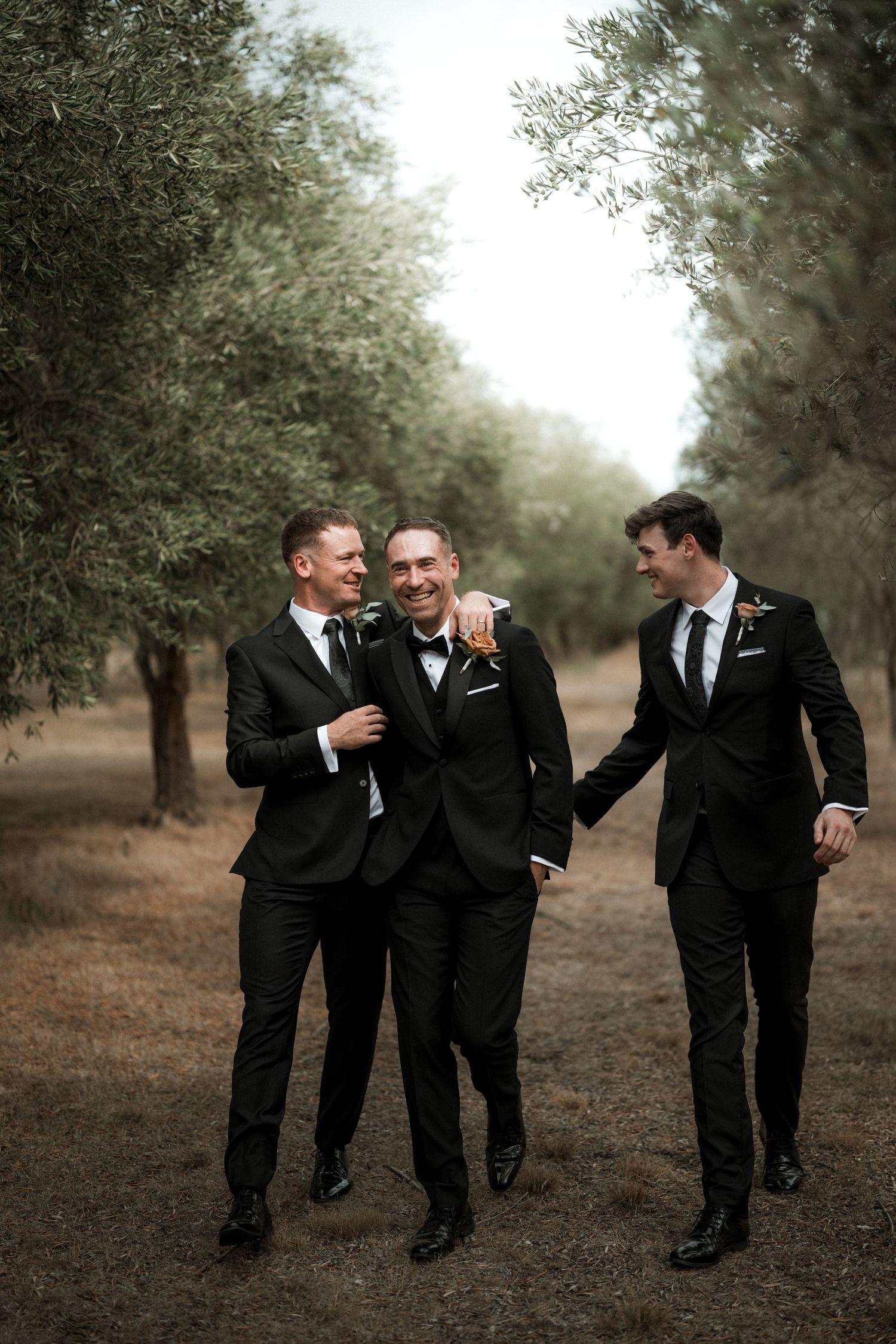 Three groomsmen in black suits share a candid laughing moment while walking together through an olive grove.