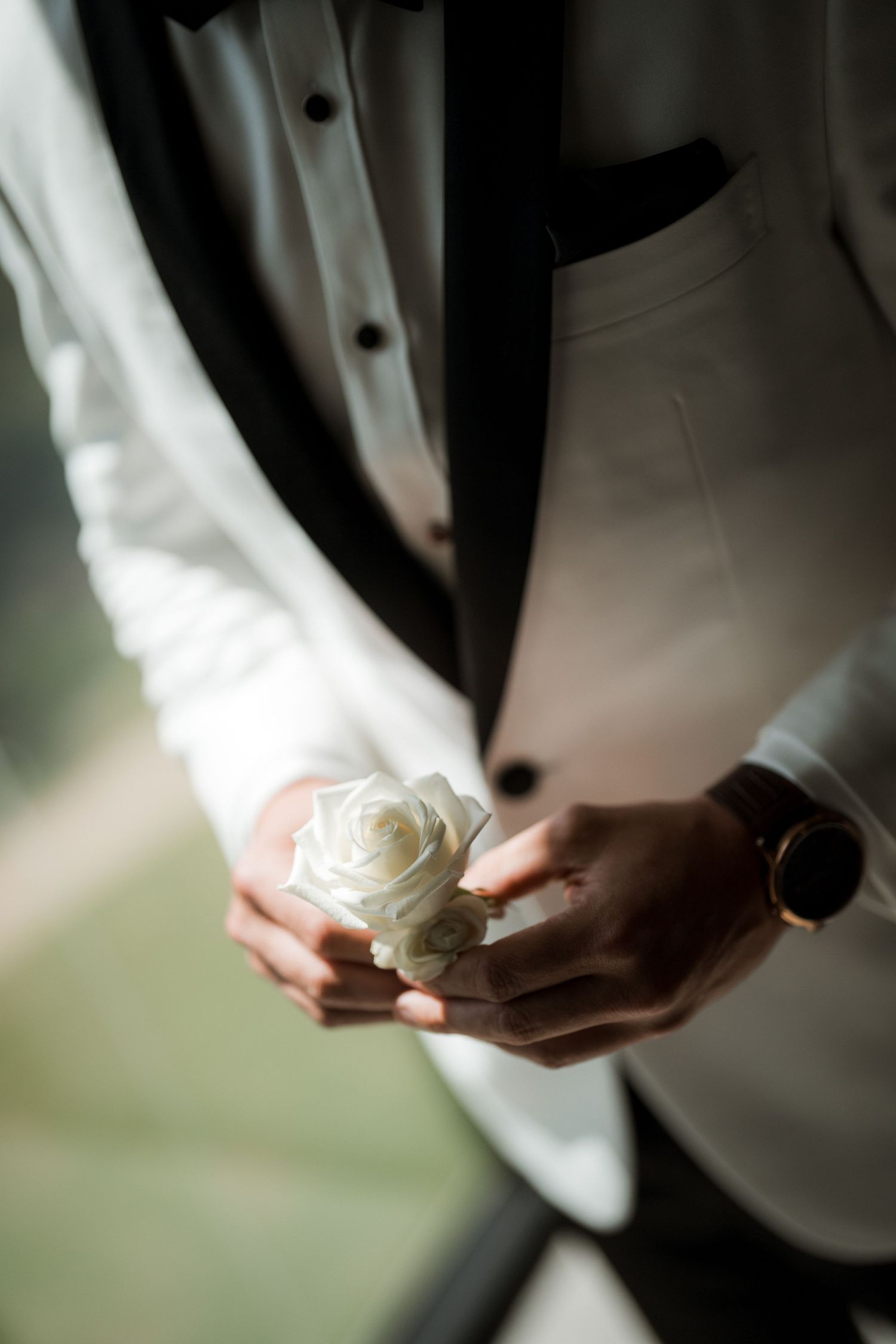 Close-up shots of hands delicately holding a white rose flower in natural lighting.