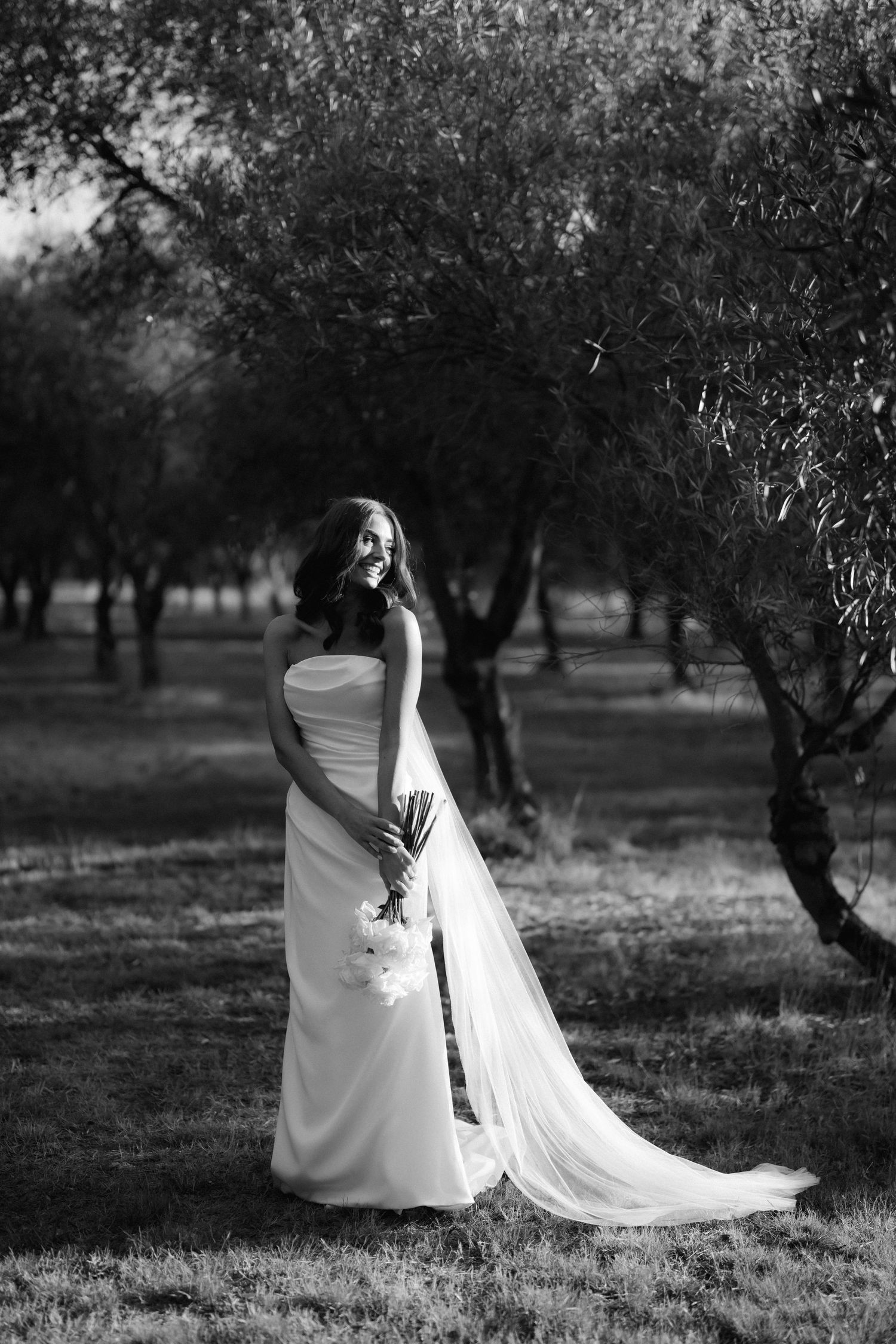 Artistic black and white photo of a bride in flowing dress and veil sitting in an olive grove.