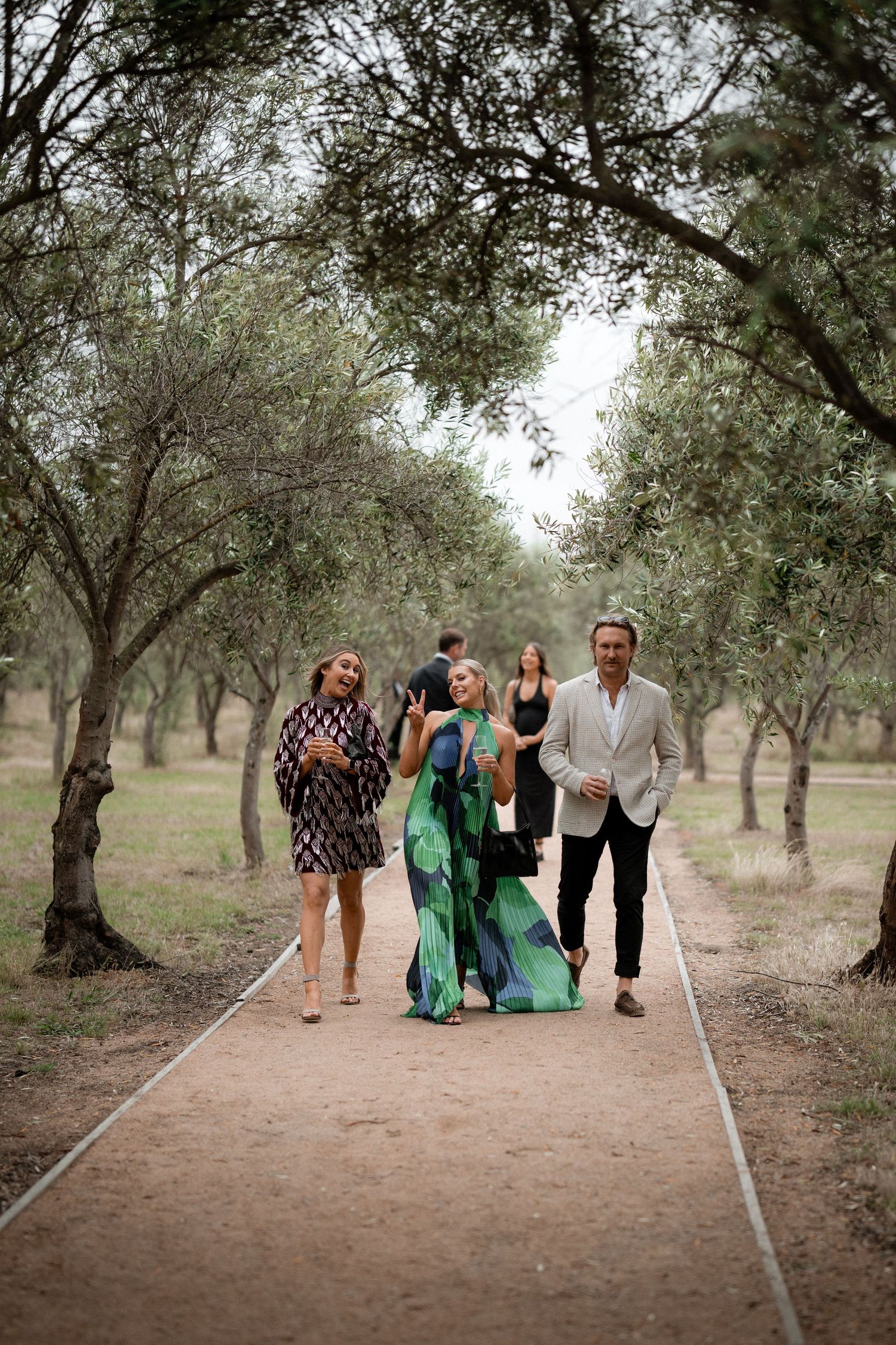 Wedding guests walking together on a path through an olive grove.