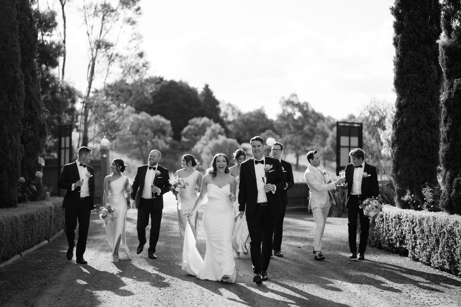 Wedding party walking and celebrating together along a tree-lined path in black and white photography.