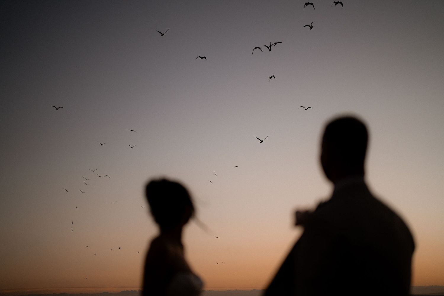 A sequence of silhouetted figures stand against a sunset sky filled with flying birds.