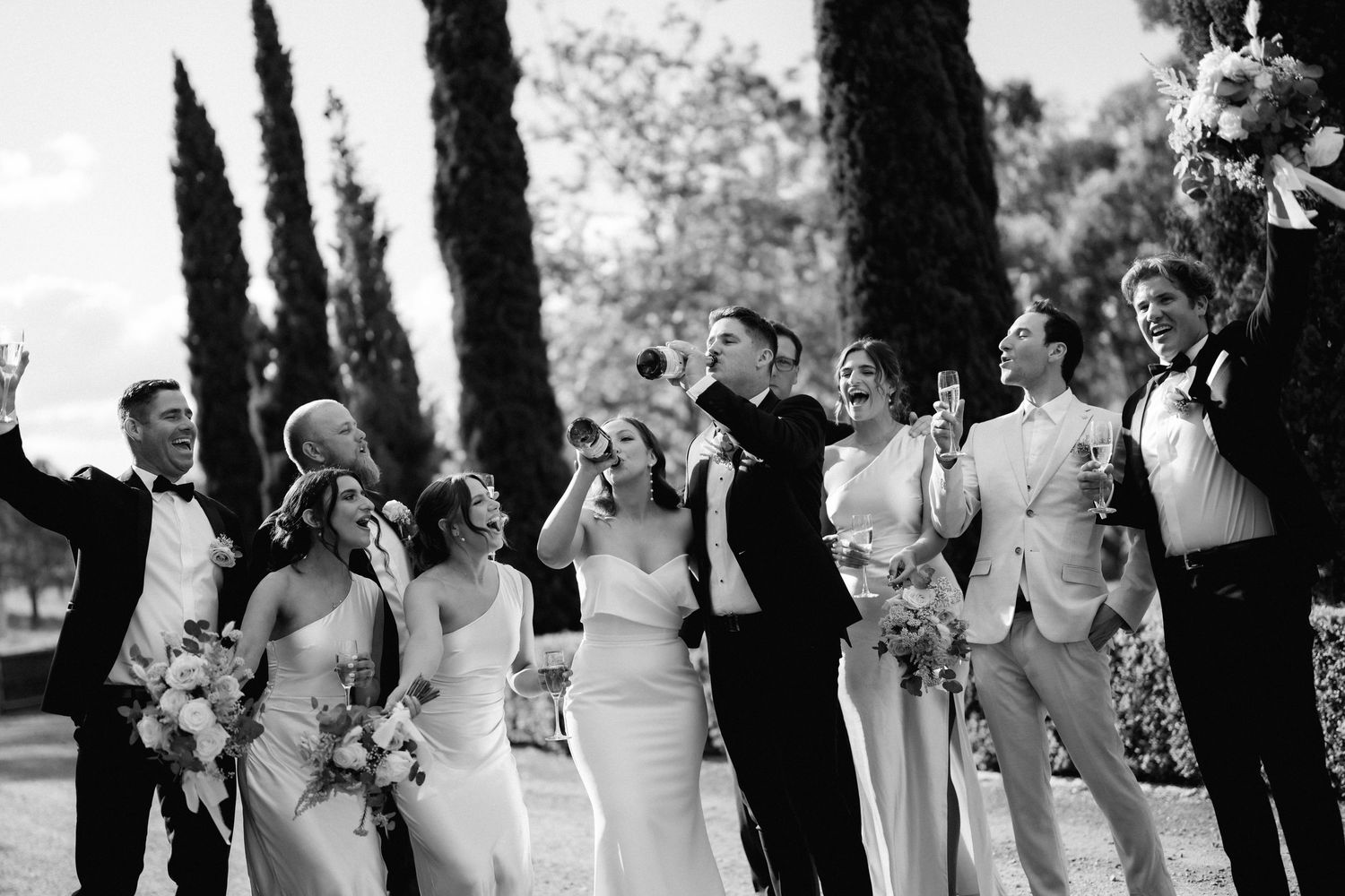 Wedding party celebrates joyfully outdoors in black and white with cypress trees in background.