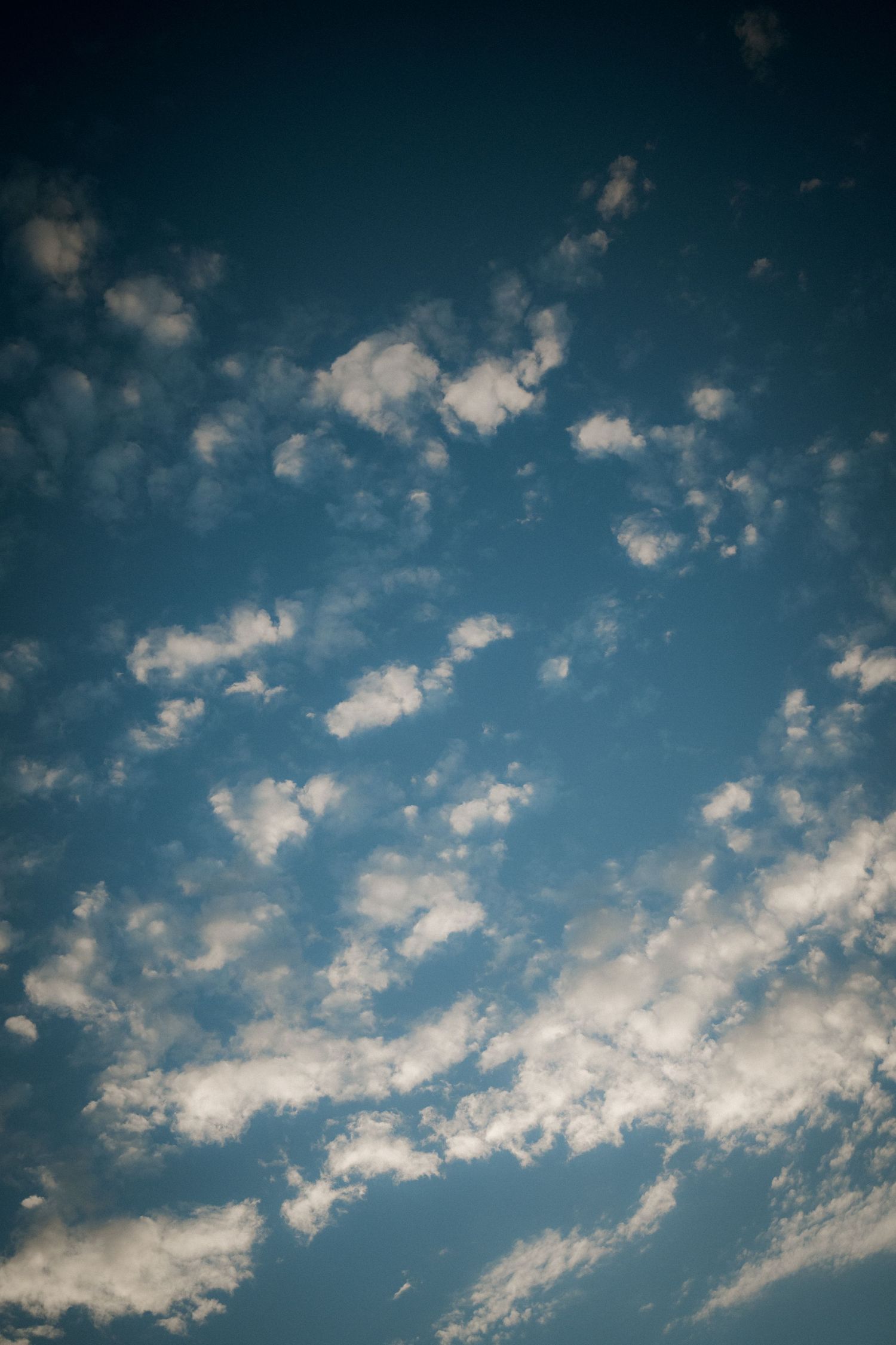 Dramatic blue sky with wispy white clouds scattered across during golden hour.
