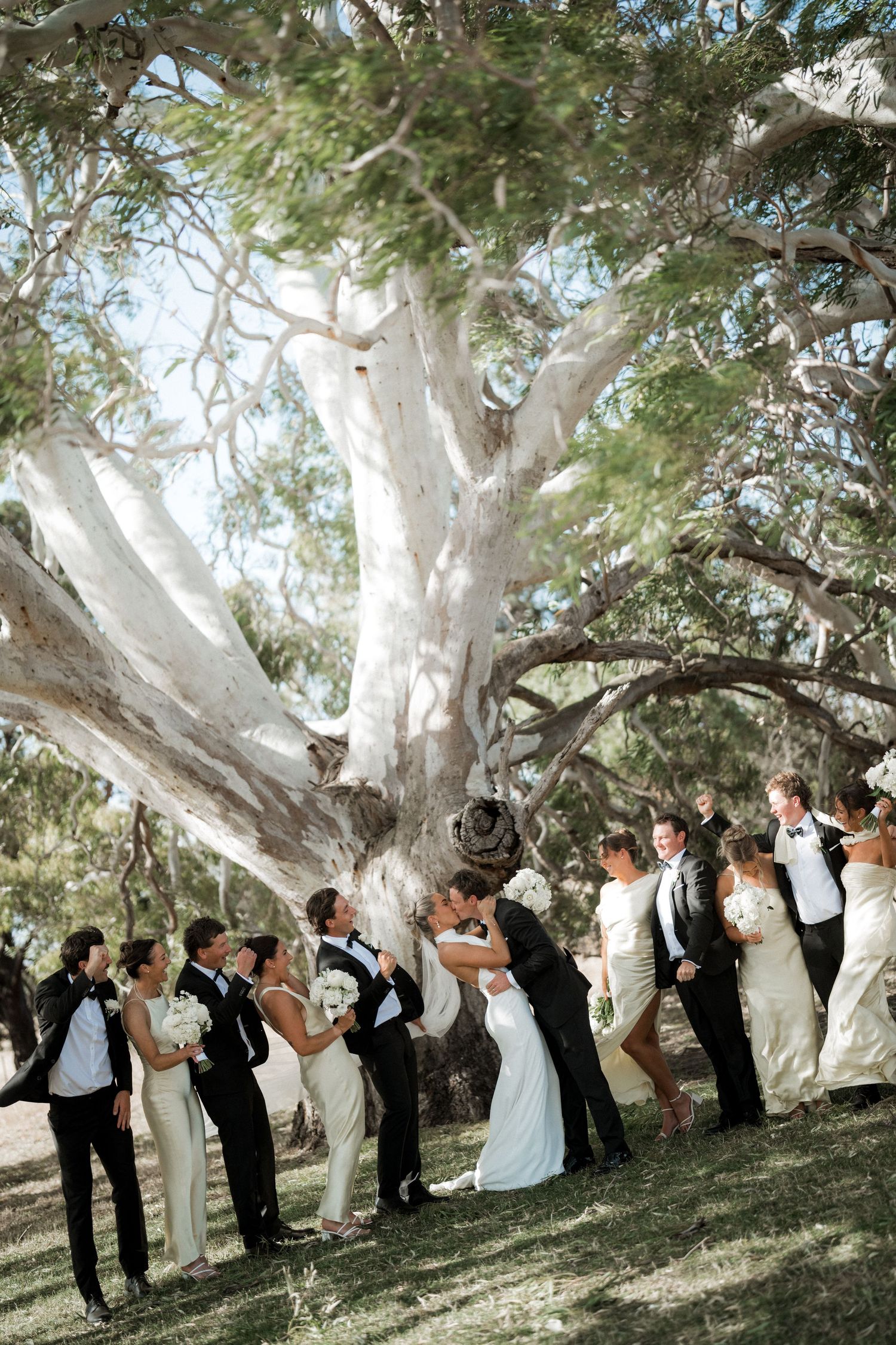 Wedding party poses playfully under majestic white-barked trees in a scenic outdoor setting.