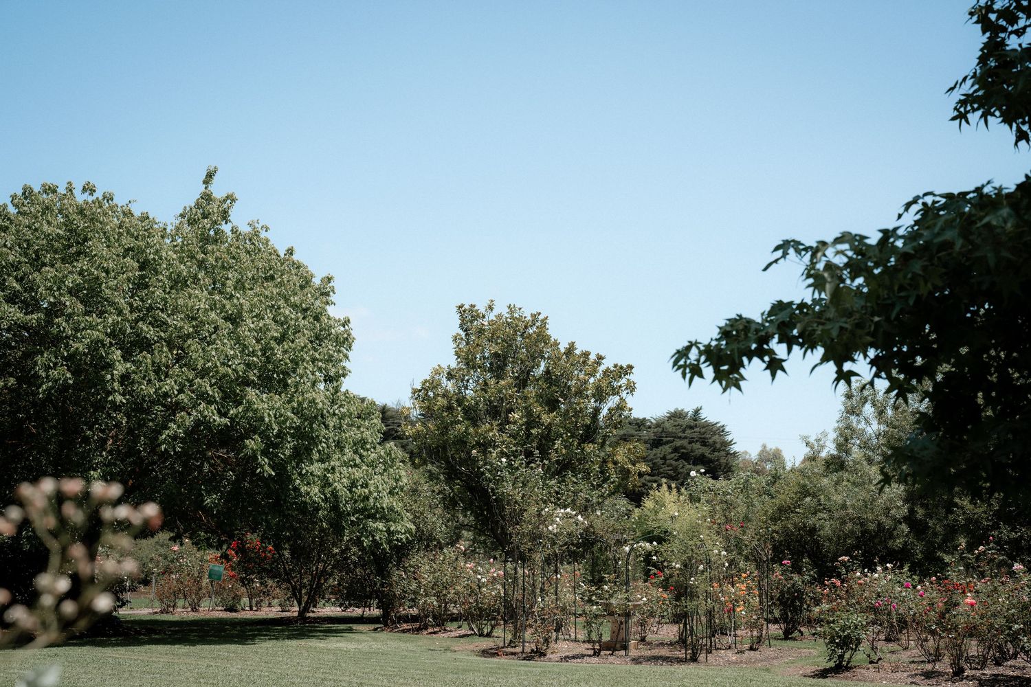 Trees and greenery line a sunny landscape under clear blue skies in a peaceful garden setting.