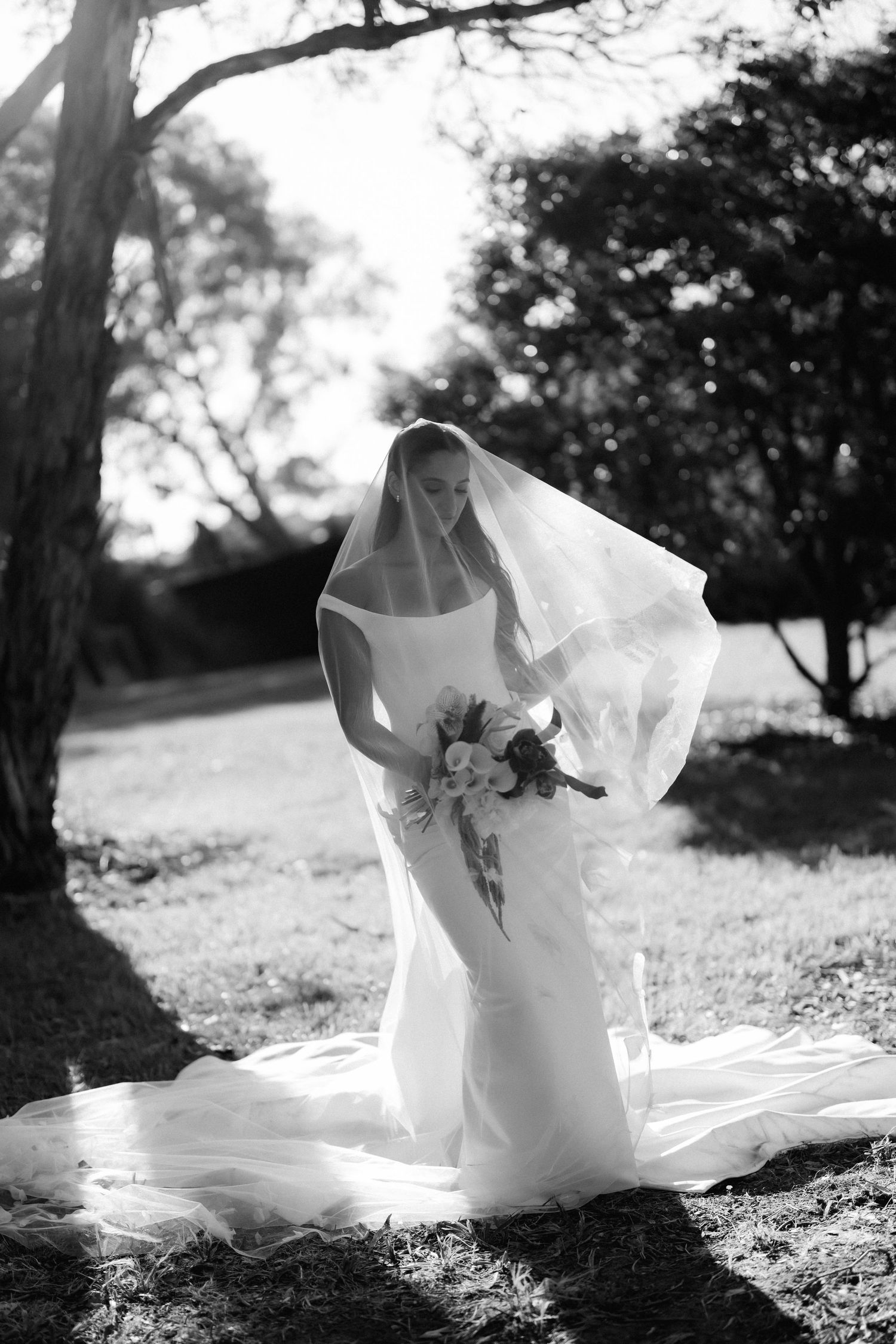Wedding dress flowing in the breeze against a dreamy outdoor backdrop in black and white.