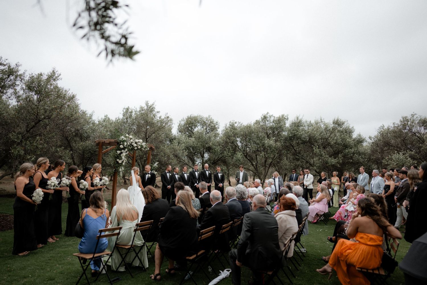 Guests seated outdoors for a wedding ceremony among olive trees on a cloudy day.