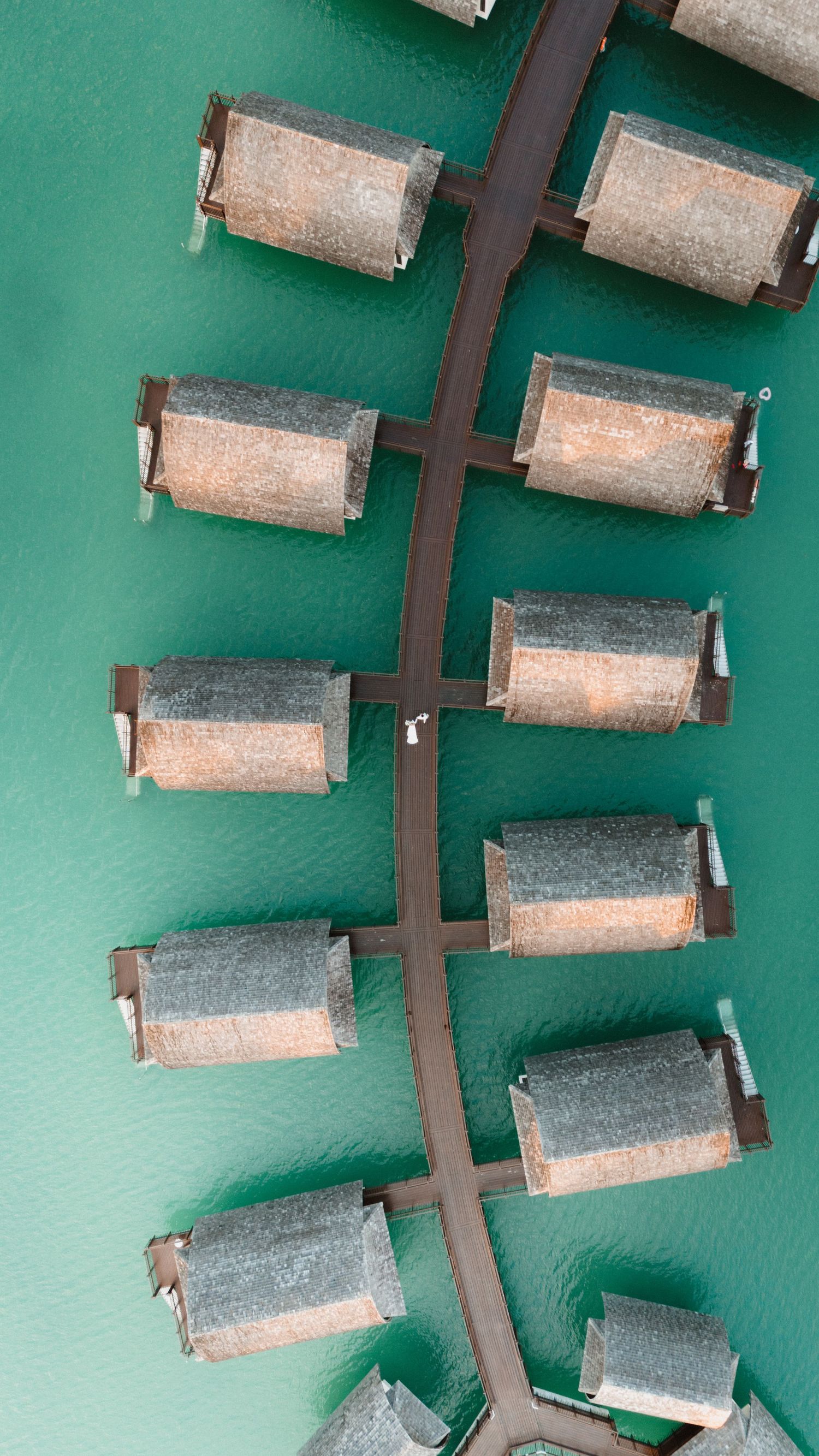 Close-up view of small cylindrical metal components arranged in a row against a green background.