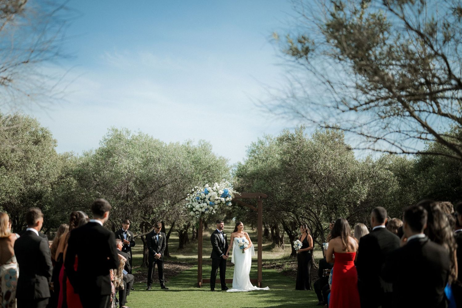 A wedding ceremony takes place outdoors beneath blooming white spring trees as guests gather to witness the occasion.