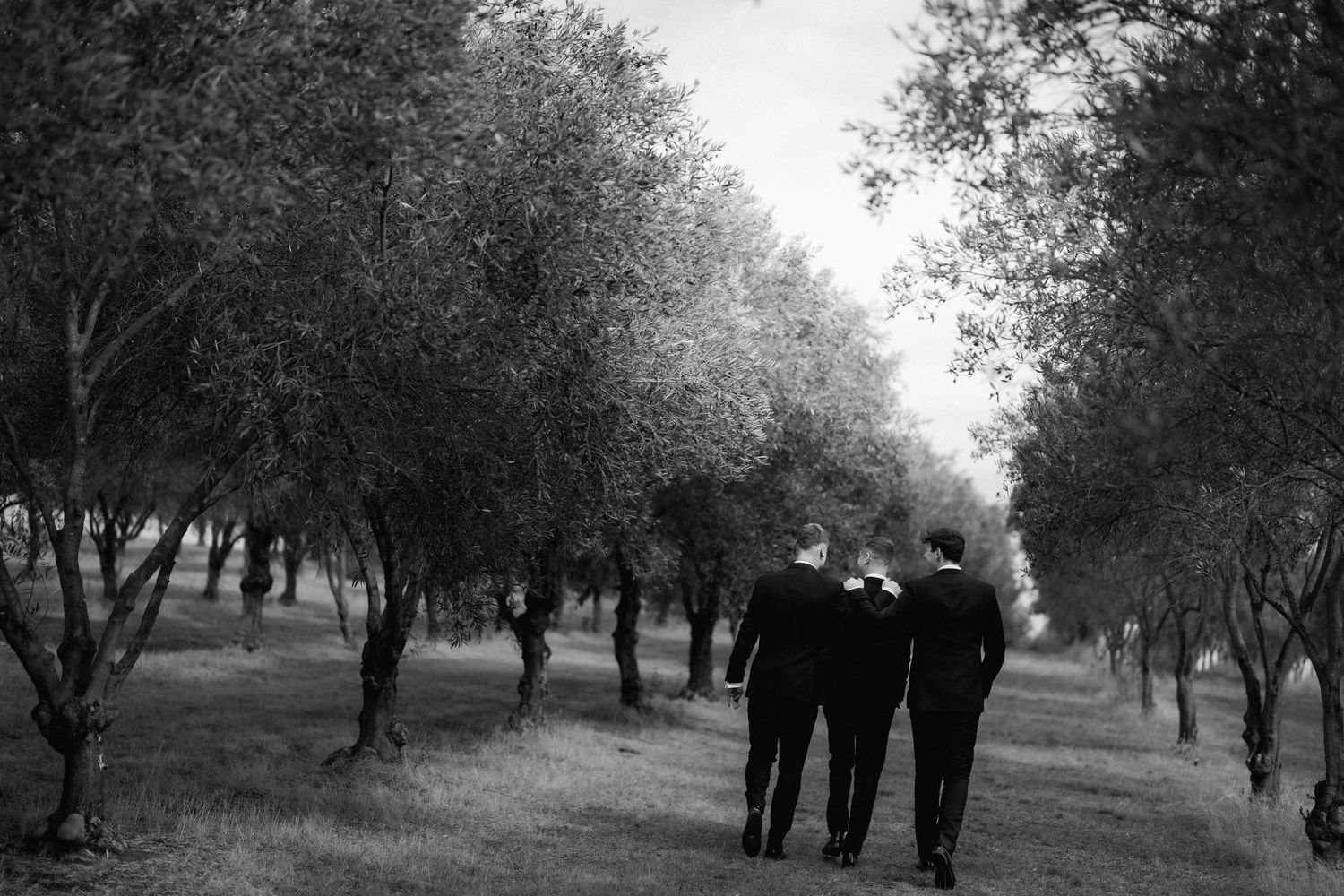 Two people stroll together down a tree-lined path in black and white photography.