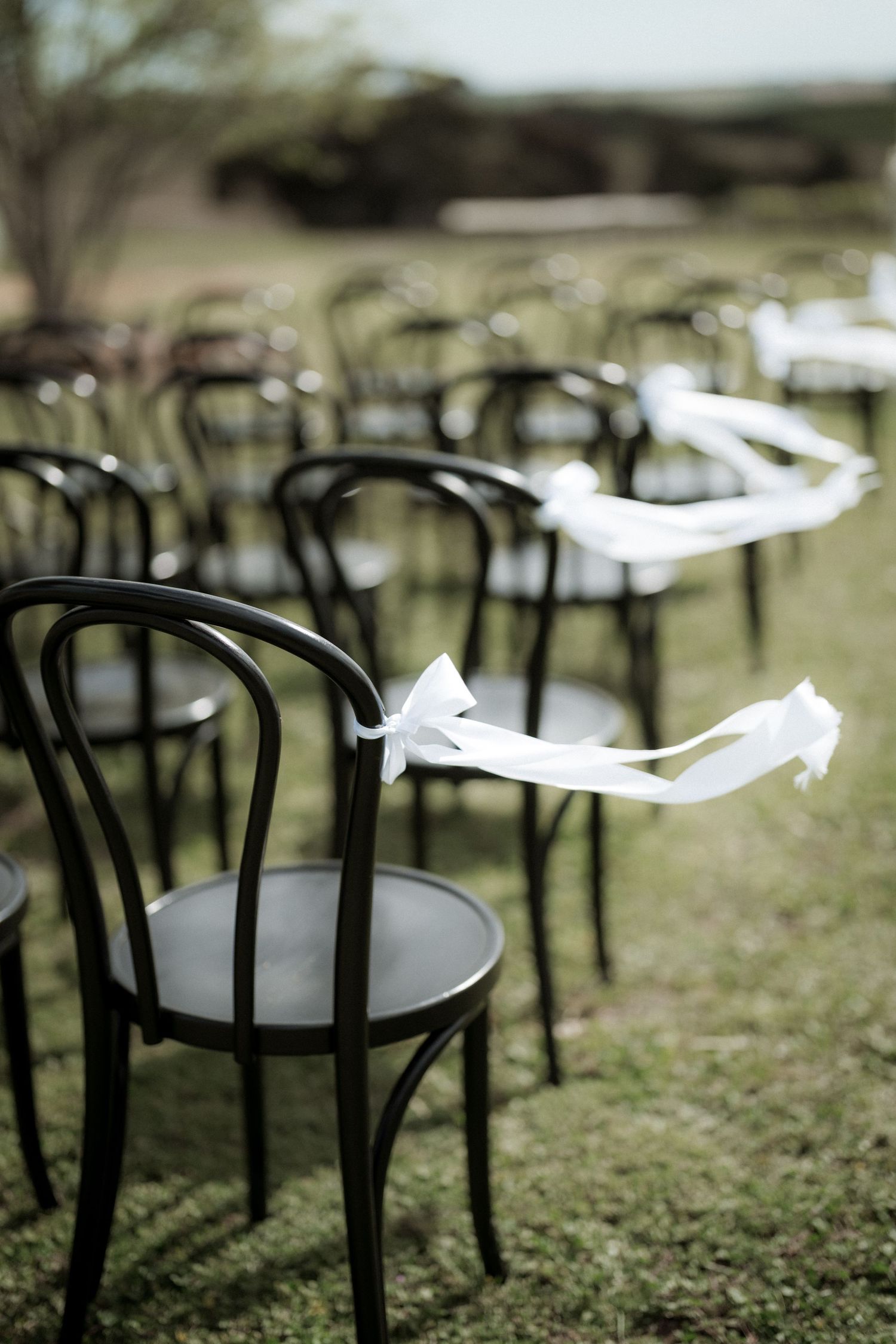 Black bentwood chairs with white ribbons arranged outdoors for a wedding ceremony on grass.