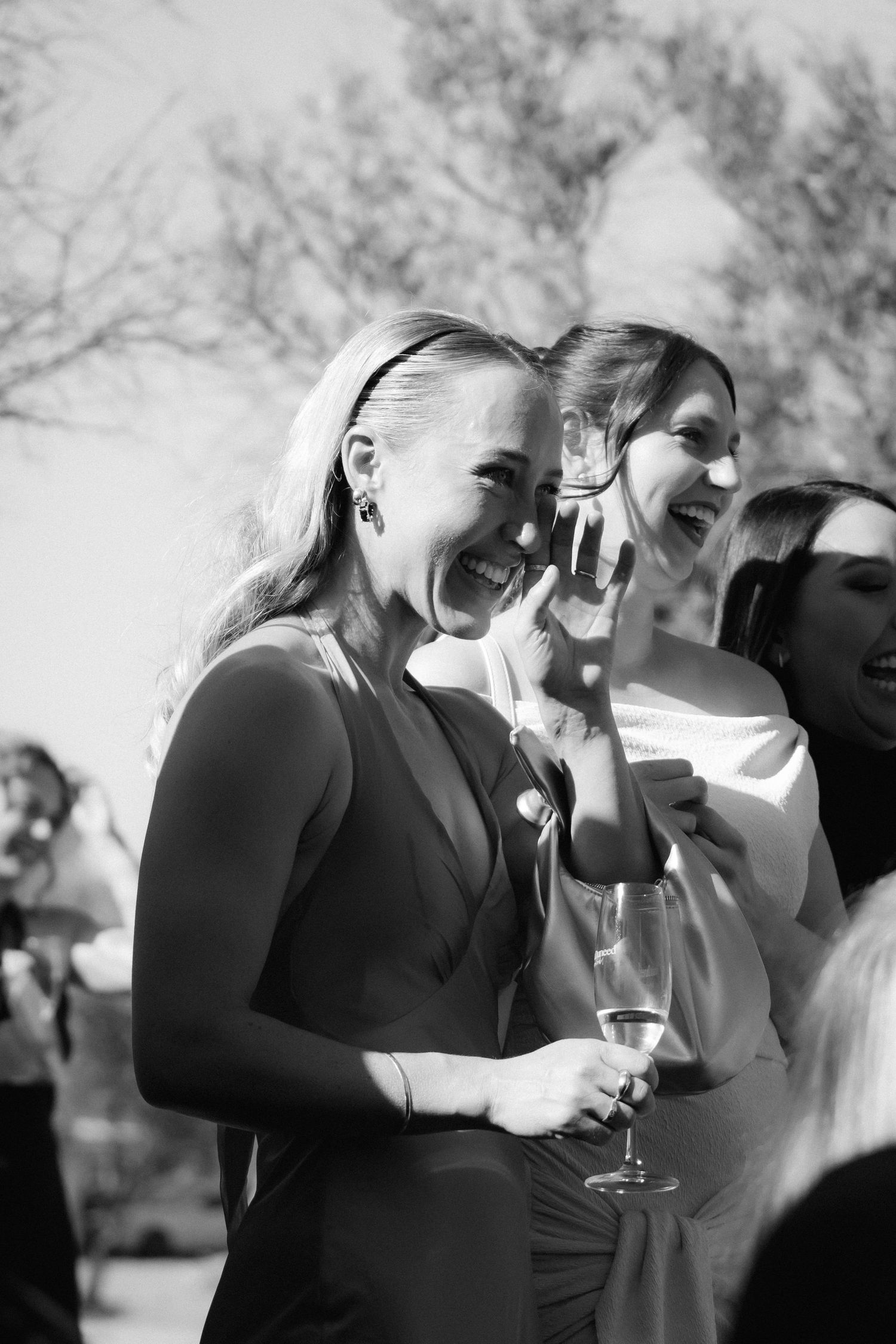 A sequence of black and white photos showing a group of wedding guests raising their glasses in a celebratory toast outdoors.