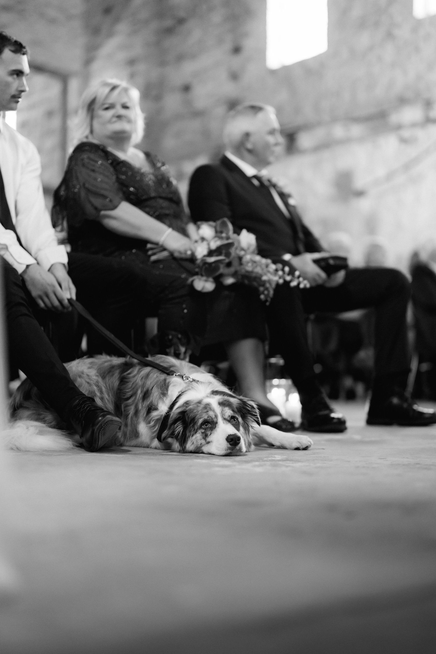 Black and white photo of wedding guests seated with a relaxed dog lying on the ground.