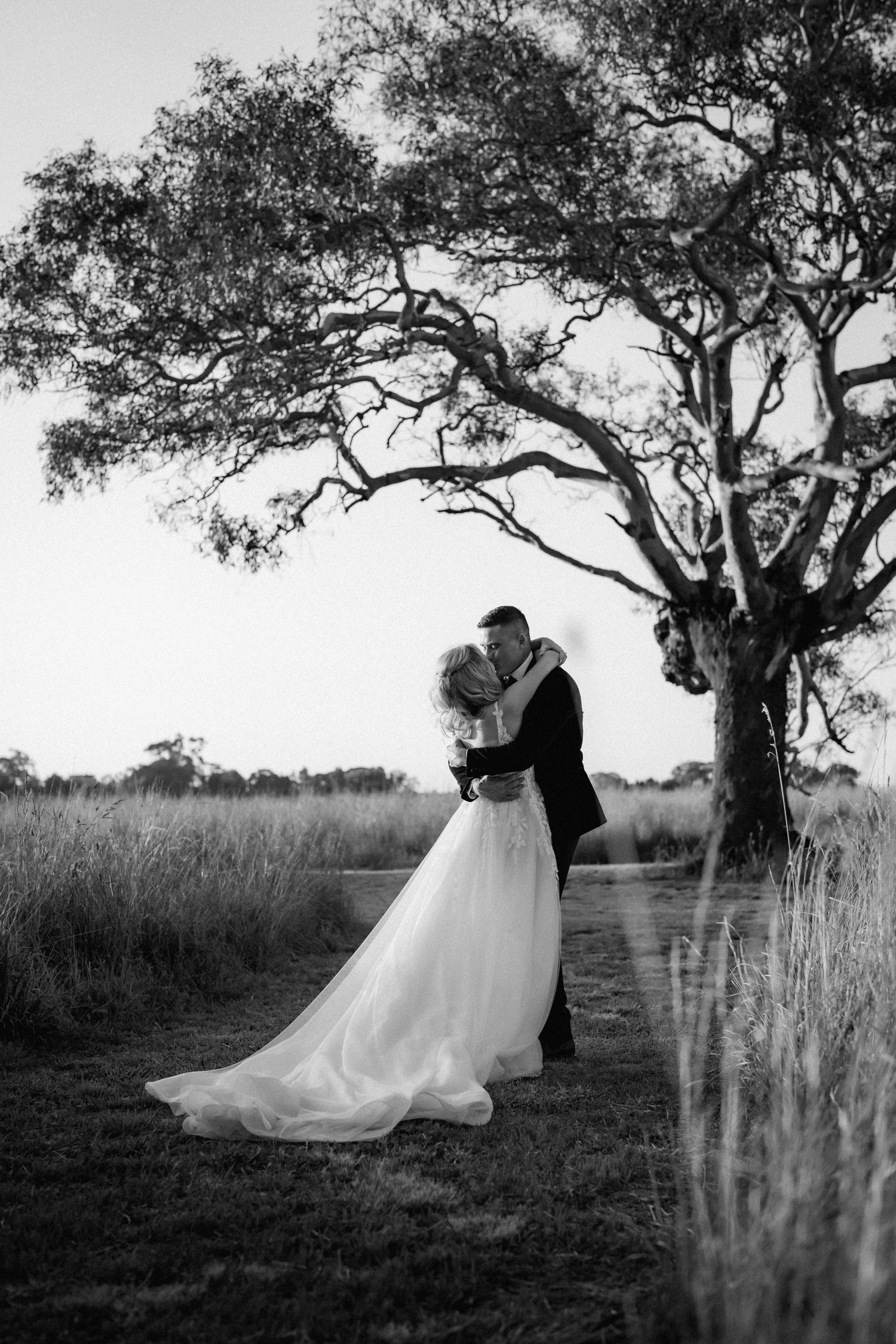 A romantic black and white wedding photo showing two people embracing under a large tree in an open field.