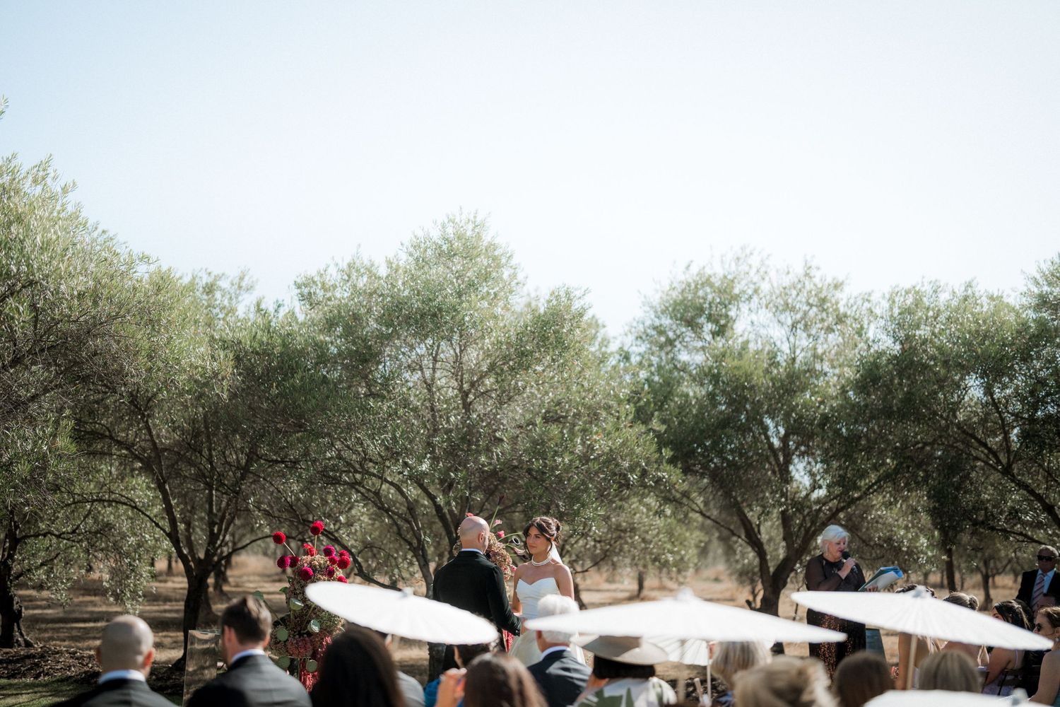 Outdoor wedding ceremony setup with white chairs and umbrellas arranged under olive trees.