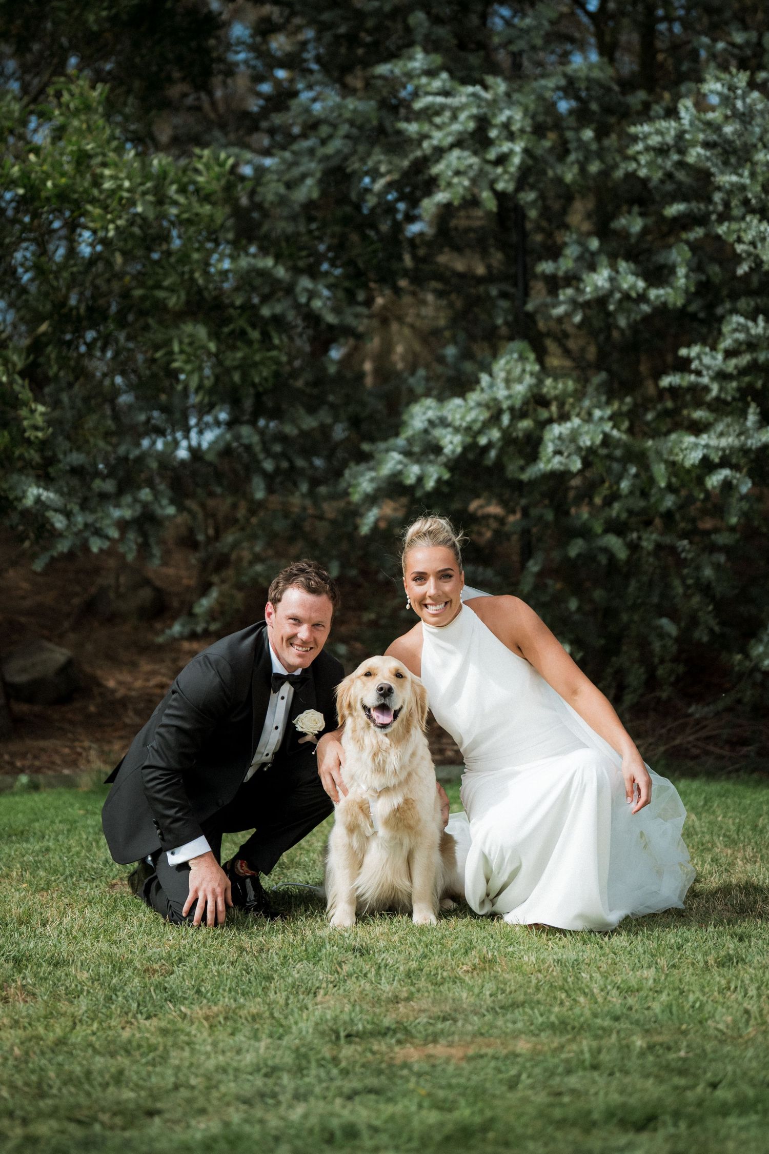 Wedding couple posing with their golden retriever on green grass outdoors.